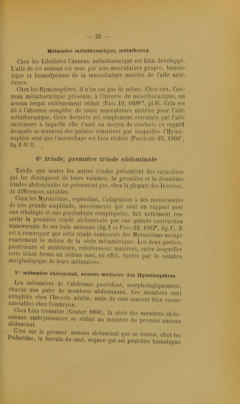 Métamère métathoracique, métathorax Cliez les Libellules l’anneau métathoracique est bien développé. L’aile de cet anneau est mue par une musculature propre, hornos- tique et honiodyname de la muscultature motrice de l’aile anté- rieure. Chez les Hyménoptères, il n’en est pas de môme. Chez eux, l’an- neau métathoracique présente, à l’inverse du mésothoracique, un arceau tergal extrêmement réduit (Fasc.l9, 1898’“, pl.6). Cela est dû à l’absence complète de toute musculature motrice pour l’aile métathoracique. Celte dernière est simplement entraînée par l’aile antérieure à laquelle elle s’unit au moyen de crochets on regard desquels se trouvent des pointes sensitives par lesquelles l’Hymé- noplère sent que l’accrochage est bien réalisé (Fascicule 23, 1903', fig.2 ét 3). 6® triade, première triade abdominale Tandis que toutes les autres triades présentent des caractères qui les distinguent de leurs voisines, la première et la deuxième triades abdominales ne présentent pas, chez la plupart des Insectes, de différences notables. Chez les Myrmicinae, cependant, l’adaptation à des mouvements de très grande amplitude, mouvements qui sont en rapport avec une éthologie et une psychologie compliquées, fait nettement res- sortir la première triade abdominale par une grande contraction transversale de ses trois anneaux (lig.l et Fasc.22, 1902*, lig.l). Il est à remarquer que cette triade contractée des Myrmicinae occupe exactement le milieu de la série mélamérique. Les deux parties, postérieure et antérieure, relativement massives, entre lesquelles celte triade forme un isthme sont, en effet, égales par le nombre morphologique de leurs métamères. 1 métamère abdominal, anneau médiaire des Hyménoptères Les métamères de l’abdomen possèdent, morphologiquement, chacun une paire de membres abdominaux. Ces membres sont atrophiés chez l’Insecte adulte, mais ils sont souvent bien recon- naissables chez l’embryon. Chez Lina tremulae (Graber 1890), la série des membres abdo- rtunaux embryonnaires se réduit au membre du premier anneau abdominal. C est sur le premier anneau abdominal que se trouve, chez les 1 oduridae, la furcula du saut, organe qui est peut-être homologue