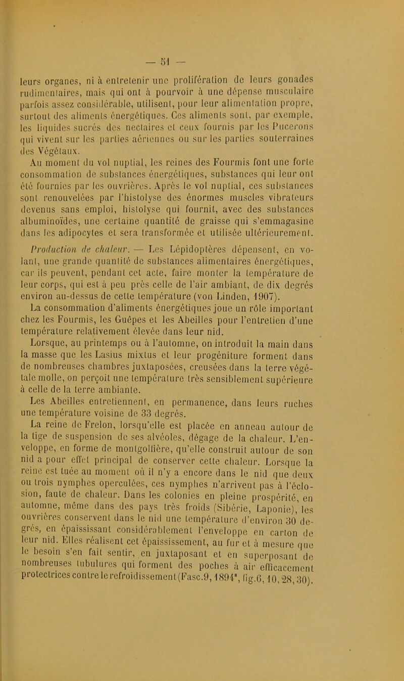 leurs organes, ni à enlrelenir une prolifération de leurs gonades rudimciiiaircs, mais qui ont à pourvoir à une dépense musculaire parfois assez considérable, utilisent, pour leur alimenlation propre, surtout des aliments énergétiques. Ces aliments sont, par exemple, les liquides sucrés des nectaires et ceux fournis par les Pucerons (|ul vivent sur les parties aériennes ou sur les parties souterraines des Végétaux. Au moment du vol nuptial, les reines des Fourmis font une forte consommation de substances énergétiques, substances qui leur ont été fournies par les ouvidères. Après le vol nuptial, cos substances sont renouvelées par l’bistolyse dos énormes muscles vibrateurs devenus sans emploi, histolyse qui fournit, avec des substances albuminoïdes, une certaine quantité de graisse qui s’emmagasine dans les adipocytes et sera transformée et utilisée ultérieurement. Profluclion de chaleur. — Les Lépidoptères dépensent, on vo- lant, une grande quantité do substances alimentaires éncrgétiiiues, car ils peuvent, pendant cet acte, faire monter la température de leur corps, qui est à peu près celle de Pair ambiant, de dix degrés environ au-dessus de cette température (von Linden, 1907). La consommation d’aliments énergétiques joue un rôle important chez les Fourmis, les Guêpes et les Abeilles pour l’entretien d’nne température relativement élevée dans leur nid. Lorsque, au printemps ou à l’automne, on introduit la main dans la masse que les Lasius mixtus et leur progéniture forment dans de nombreuses chambres juxtaposées, creusées dans la terre végé- tale molle, on perçoit une température très sensiblement supérieure à celle de la terre ambiante. Les Abeilles entretiennent, en permanence, dans leurs ruches une température voisine de 33 degrés. La reine de Frelon, lorsqu’elle est placée en anneau autour de la tige de suspension de ses alvéoles, dégage de la chaleur. L’en- veloppe, en forme de montgollière, qu’elle construit autour de son nid a pour elTet principal de conserver celte chaleur. Lorsque la reine est tuée au moment où il n’y a encore dans le nid que deux ou trois nymphes operculées, ces nymphes n’arrivent pas à l’éclo- sion, faute de chaleur. Dans les colonies en pleine prospérité, en automne, même dans des pays très froids (Sibérie, Laponie),'les ouvrières conservent dans le nid une température d’environ 30 de- grés, en épaissi.ssant considérablement l’enveloppe en carton de leur nid. Elles réalisent cet épaississement, au fur et à mesure que le besoin s’en fait sentir, en juxtaposant et en superposant de nombreuses tubulures qui forment des poches à air elTicacemoni protectrices contre lerefroidissemenl(Fasc.9,1891*, lig.G, 10,28,30)