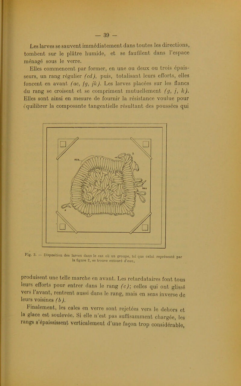 Les larves se sauvent immédiatement dans toutes les directions, tombent sur le plâtre humide, et se faufdent dans l’espace ménagé sous le verre. Elles commencent par former, en une ou deux ou trois épais- seurs, un rang régulier (ccl), puis, totalisant leurs efforts, elles foncent en avant (ac, {g, jk). Les larves placées sur les flancs du rang se croisent et se compriment mutuellement (g, /', k). Elles sont ainsi en mesure de fournir la résistance voulue pour équilibrer la composante tangentielle résultant des poussées qui Fig. 3. — Disposition des larves dans le cas où un groupe, tel que celui représenté par la figure 2, se trouve entouré d’eau. produisent une telle marche en avant. Les retardataires font tous leurs efforts pour entrer dans le rang (c); celles qui ont glissé vers l’avant, rentrent aussi dans le rang, mais en sens inverse de leurs voisines (b). Finalement, les cales en verre sont rejetées vers le dehors et la glace est soulevée. Si elle n’est pas suffisamment chargée, les rangs s’épaississent verticalement d’une façon trop considérable,