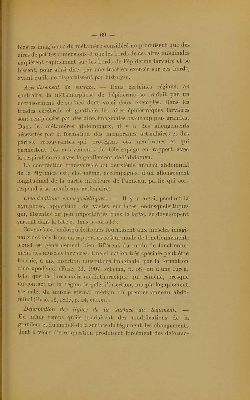 blastes imaginaux du métamère considéré ne produisent que des aires de petites dimensions et que les bords de ces aires imaginales empiètent rapidement sur les bords de l’épiderme larvaire et se hissent, pour ainsi dire, par une traction exercée sur ces bords, avant qu’ils ne disparaissent par histolyse. Accroissement de surface. — Dans certaines régions, au contraire, la métamorphose de l’épiderme se traduit par un accroissement de surface dont voici deux exemples. Dans les triades cérébrale et gnathale les aires épidermiques larvaires sont remplacées par des aires imaginales beaucoup plus grandes. Dans les métamères abdominaux, il y a des allongements nécessités par la formation des membranes articulaires et des parties recouvrantes qui protègent ces membranes et qui permettent les mouvements de télescopage en rapport avec la respiration ou avec le gonflement de l’abdomen. La contraction transversale du deuxième anneau abdominal de la Myrmica est, elle même, accompagnée d’un allongement longitudinal de la partie inférieure de l’anneau, partie qui cor- respond à sa membrane articulaire. Invaginations endosquelelliques. —- Il y a aussi, pendant la nymphose, apparition de vastes sur faces endosquelettiques qui, absentes ou peu importantes chez la larve, se développent surtout dans la tête et dans le corselet. Ces surfaces endosquelettiques fournissent aux muscles imagi- naux des insertions en rapport avec leur mode de fonctionnement, lequel est généralement bien différent du mode de fonctionne- ment des muscles larvaires. Une situation très spéciale peut être fournie, à une insertion musculaire imaginale, par la formation d’un apodème. (Fasc. 26, 1907, schéma, p. 58) ou d’une furca, telle que la furca méta-médiothoracique qui ramène, presque au contact de la région Lcrgale, l’insertion, morphologiquement sternale, du muscle sternal médian du premier anneau abdo- minal (Fasc. 16,1897, p. 24, m.v.m.). Déformation des lignes de la surface du tégument. — En même temps qu’ils produisent des modifications de la grandeur et du modelé de la surface du tégument, les changements dont il vient d’être question produisent forcément des déforma-