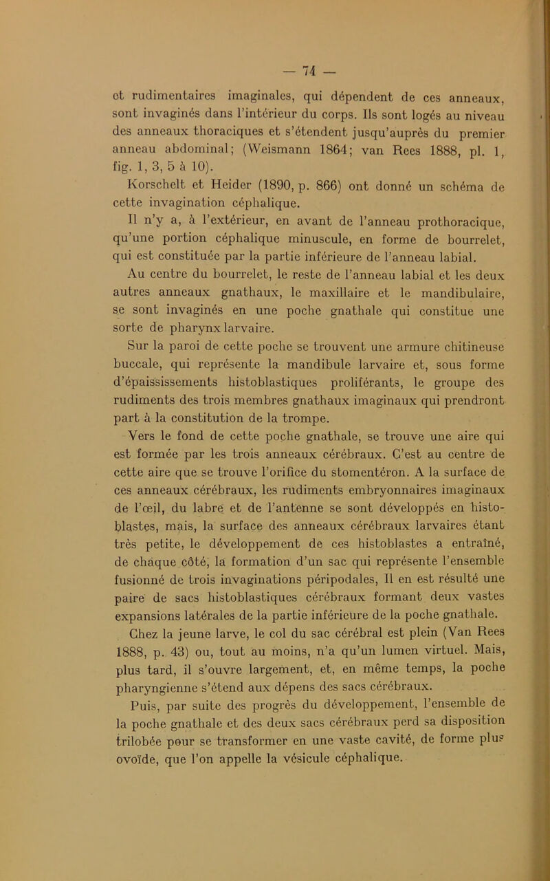 ot rudimentaires imaginales, qui dépendent de ces anneaux, sont invaginés dans l’intérieur du corps. Ils sont logés au niveau des anneaux thoraciques et s’étendent jusqu’auprès du premier anneau abdominal; (Weismann 1864; van Rees 1888, pl. 1, fig. 1, 3, 5 à 10). Korschelt et Heider (1890, p. 866) ont donné un schéma de cette invagination céphalique. Il n’y a, à l’extérieur, en avant de l’anneau prothoracique, qu’une portion céphalique minuscule, en forme de bourrelet, qui est constituée par la partie inférieure de l’anneau labial. Au centre du bourrelet, le reste de l’anneau labial et les deux autres anneaux gnathaux, le maxillaire et le mandibulaire, se sont invaginés en une poche gnathale qui constitue une sorte de pharynx larvaire. Sur la paroi de cette poche se trouvent une armure chitineuse buccale, qui représente la mandibule larvaire et, sous forme d’épaississements histoblastiques proliférants, le groupe des rudiments des trois membres gnathaux imaginaux qui prendront part à la constitution de la trompe. Vers le fond de cette poche gnathale, se trouve une aire qui est formée par les trois anneaux cérébraux. C’est au centre de cette aire que se trouve l’orifice du stomentéron. A la surface de ces anneaux cérébraux, les rudiments embryonnaires imaginaux de l’œil, du labre et de l’antenne se sont développés en histo- blastes, mais, la surface des anneaux cérébraux larvaires étant très petite, le développement de ces histoblastes a entraîné, de chaque côté, la formation d’un sac qui représente l’ensemble fusionné de trois invaginations péripodales, Il en est résulté une paire de sacs histoblastiques cérébraux formant deux vastes expansions latérales de la partie inférieure de la poche gnathale. Chez la jeune larve, le col du sac cérébral est plein (Van Rees 1888, p. 43) ou, tout au moins, n’a qu’un lumen virtuel. Mais, plus tard, il s’ouvre largement, et, en même temps, la poche pharyngienne s’étend aux dépens des sacs cérébraux. Puis, par suite des progrès du développement, l’ensemble de la poche gnathale et des deux sacs cérébraux perd sa disposition trilobée pour se transformer en une vaste cavité, de forme plu? ovoïde, que l’on appelle la vésicule céphalique.