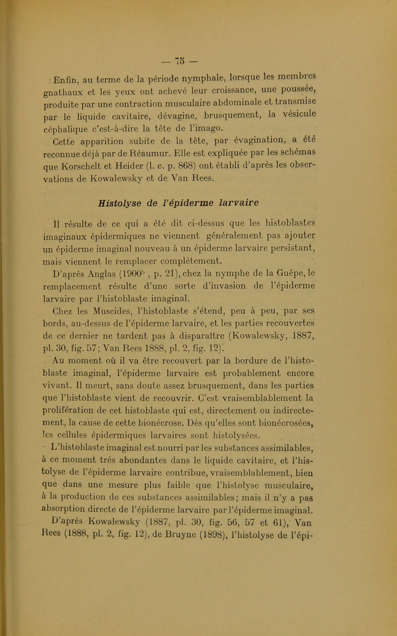 Enfin, au terme de la période nymphale, lorsque les membres gnathaux et les yeux ont achevé leur croissance, une poussée, produite par une contraction musculaire abdominale et transmise par le liquide cavitaire, dévagine, brusquement, la vésicule céphalique c’est-à-dire la tête de l’imago. Cette apparition subite de la tête, par évagination, a été reconnue déjà par de Réaumur. Elle est expliquée par les schémas que Korschelt et Heider (1. c. p. 868) ont établi d’après les obser- vations de Kowalewsky et de Van Rees. Histolyse de l’épiderme larvaire Il résulte de ce qui a été dit ci-dessus que les histoblastes imaginaux épidermiques ne viennent généralement pas ajouter un épiderme imaginai nouveau à un épiderme larvaire persistant, mais viennent le remplacer complètement. D’après Anglas (1900b , p. 21), chez la nymphe de la Guêpe, le remplacement résulte d’une sorte d’invasion de l’épiderme larvaire par l’histoblaste imaginai. Chez les Muscides, l’histoblaste s’étend, peu à peu, par ses bords, au-dessus de l’épiderme larvaire, et les parties recouvertes de ce dernier ne tardent pas à disparaître (Kowalewsky, 1887, pl. 30, fig. 57; Van Rees 1888, pl. 2, fig. 12)'. Au moment où il va être recouvert par la bordure de l’histo- blaste imaginai, l’épiderme larvaire est probablement encore vivant. Il meurt, sans doute assez brusquement, dans les parties que Phistoblaste vient de recouvrir. C’est vraisemblablement la prolifération de cet histoblaste qui est, directement ou indirecte- ment, la cause de cette bionécrose. Dès qu’elles sont bionécrosées, les cellules épidermiques larvaires sont histolysées. L’histoblaste imaginai est nourri par les substances assimilables, à ce moment très abondantes dans le liquide cavitaire, et l’his- tolyse de l’épiderme larvaire contribue, vraisemblablement, bien que dans une mesure plus faible que l’histolyse musculaire, à la production de ces substances assimilables; mais il n’y a pas absorption directe de l’épiderme larvaire par l’épiderme imaginai. D’après Kowalewsky (1887, pl. 30, fig. 56, 57 et 61), Van Rees (1888, pl. 2, fig. 12), de Bruyne (1898), l’histolyse de l’épi-