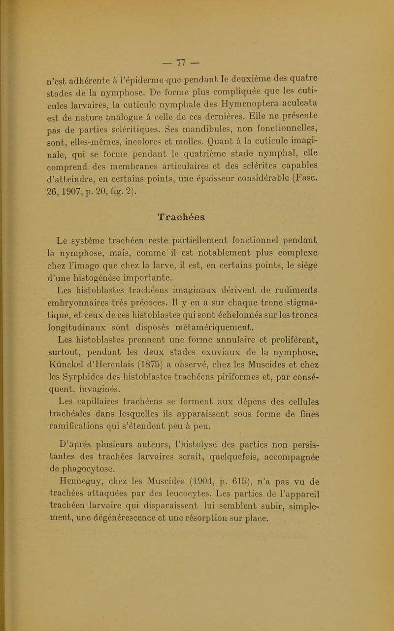 n’est adhérente à l’épiderme que pendant le deuxième des quatre stades de la nymphose. De forme plus compliquée que les cuti- cules larvaires, la cuticule nymphale des Hymenoptera aculeata est de nature analogue à celle de ces dernières. Elle ne présente pas de parties scléritiques. Ses mandibules, non fonctionnelles, sont, elles-mêmes, incolores et molles. Quant à la cuticule imagi- nale, qui se forme pendant le quatrième stade nymphal, elle comprend des membranes articulaires et des sclérites capables d’atteindre, en certains points, une épaisseur considérable (Fasc. 26,1907, p. 20, fig. 2). Trachées Le système trachéen reste partiellement fonctionnel pendant la nymphose, mais, comme' il est notablement plus complexe chez l’imago que chez la larve, il est, en certains points, le siège d’une histogénèse importante. Les liistoblastes trachéens imaginaux dérivent de rudiments embryonnaires très précoces. Il y en a sur chaque tronc stigma- tique, et ceux de ces liistoblastes qui sont échelonnés sur les troncs longitudinaux sont disposés métamériquement. Les liistoblastes prennent une forme annulaire et prolifèrent, surtout, pendant les deux stades exuviaux de la nymphose. Künckel d’Herculais (1875) a observé, chez les Muscides et chez les Syrphides des liistoblastes trachéens piriformes et, par consé- quent, invaginés. Les capillaires trachéens se forment aux dépens des cellules trachéales dans lesquelles ils apparaissent sous forme de fines ramifications qui s’étendent peu à peu. D’après plusieurs auteurs, l’histolyse des parties non persis- tantes des trachées larvaires serait, quelquefois, accompagnée de phagocytose. Henneguy, chez les Muscides (1904, p. 615), n’a pas vu de trachées attaquées par des leucocytes. Les parties de l’appareil trachéen larvaire qui disparaissent lui semblent subir, simple- ment, une dégénérescence et une résorption sur place.