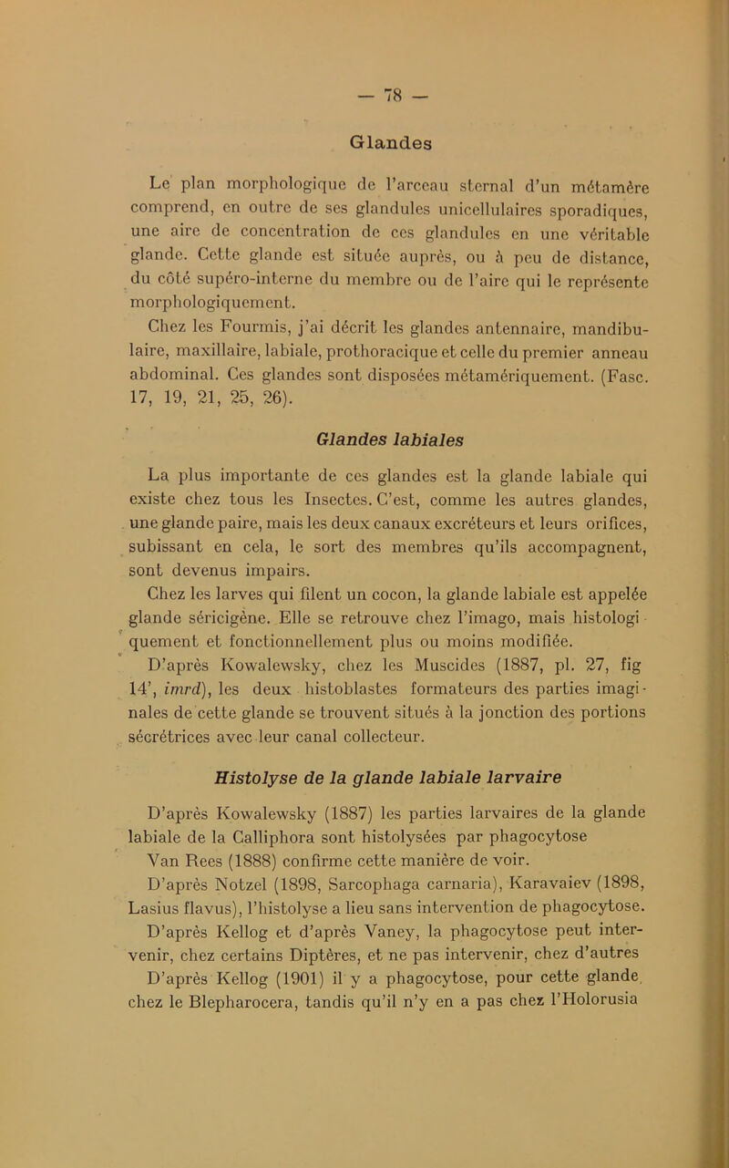 Glandes Le plan morphologique de l’arceau sternal d’un métamère comprend, en outre de ses glandules uniccllulaires sporadiques, une aire de concentration de ces glandules en une véritable glande. Cette glande est située auprès, ou à peu de distance, du côté supéro-interne du membre ou de l’aire qui le représente morphologiquement. Chez les Fourmis, j’ai décrit les glandes antennaire, mandibu- laire, maxillaire, labiale, prothoracique et celle du premier anneau abdominal. Ces glandes sont disposées métamériquement. (Fasc. 17, 19, 21, 25, 26). Glandes labiales La plus importante de ces glandes est la glande labiale qui existe chez tous les Insectes. C’est, comme les autres glandes, une glande paire, mais les deux canaux excréteurs et leurs orifices, subissant en cela, le sort des membres qu’ils accompagnent, sont devenus impairs. Chez les larves qui filent un cocon, la glande labiale est appelée glande séricigène. Elle se retrouve chez l’imago, mais histologi ç . . quement et fonctionnellement plus ou moins modifiée. O D’après Kowalewsky, chez les Muscides (1887, pl. 27, fig 14’, imrd), les deux histoblastes formateurs des parties imagi- nales de cette glande se trouvent situés à la jonction des portions sécrétrices avec leur canal collecteur. Histolyse de la glande labiale larvaire D’après Kowalewsky (1887) les parties larvaires de la glande labiale de la Calliphora sont histolysées par phagocytose Yan Rees (1888) confirme cette manière de voir. D’après Notzel (1898, Sarcophaga carnaria), Karavaiev (1898, Lasius flavus), l’histolyse a lieu sans intervention de phagocytose. D’après Kellog et d’après Vaney, la phagocytose peut inter- venir, chez certains Diptères, et ne pas intervenir, chez d’autres D’après Kellog (1901) il y a phagocytose, pour cette glande chez le Blepharocera, tandis qu’il n’y en a pas chez l’Holorusia