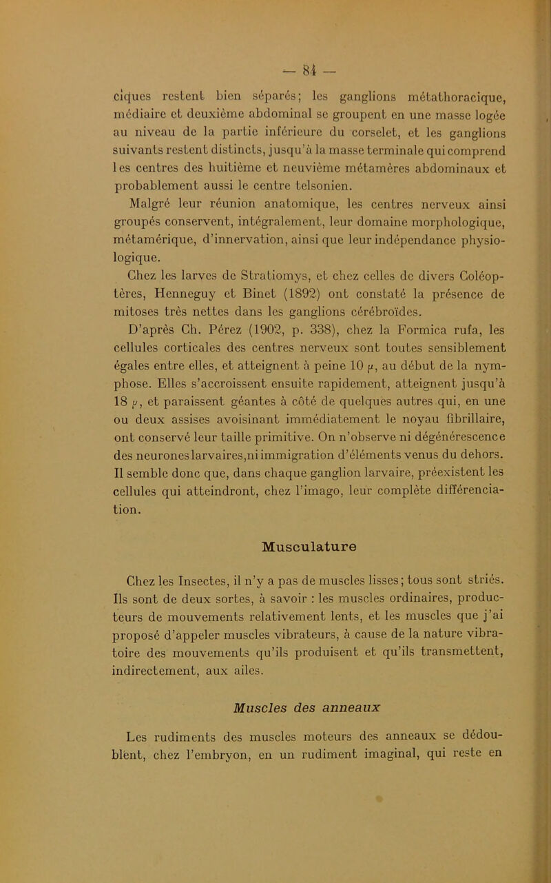 ckjucs restent bien séparés; les ganglions métathoraciquc, médiaire et deuxième abdominal se groupent en une masse logée au niveau de la partie inférieure du corselet, et les ganglions suivants restent distincts, jusqu’à la masse terminale qui comprend les centres des huitième et neuvième métamôres abdominaux et probablement aussi le centre telsonien. Malgré leur réunion anatomique, les centres nerveux ainsi groupés conservent, intégralement, leur domaine morphologique, métamérique, d’innervation, ainsi que leur indépendance physio- logique. Chez les larves de Stratiomys, et chez celles de divers Coléop- tères, Henneguy et Binet (1892) ont constaté la présence de mitoses très nettes dans les ganglions cérébroïdcs. D’après Ch. Pérez (1902, p. 338), chez la Formica rufa, les cellules corticales des centres nerveux sont toutes sensiblement égales entre elles, et atteignent à peine 10 p, au début de la nym- phose. Elles s’accroissent ensuite rapidement, atteignent jusqu’à 18 p, et paraissent géantes à côté de quelques autres qui, en une ou deux assises avoisinant immédiatement le noyau fibrillaire, ont conservé leur taille primitive. On n’observe ni dégénérescence des neuroneslarvaires,ni immigration d’éléments venus du dehors. Il semble donc que, dans chaque ganglion larvaire, préexistent les cellules qui atteindront, chez l’imago, leur complète différencia- tion. Musculature Chez les Insectes, il n’y a pas de muscles lisses; tous sont striés. Ils sont de deux sortes, à savoir : les muscles ordinaires, produc- teurs de mouvements relativement lents, et les muscles que j’ai proposé d’appeler muscles vibrateurs, à cause de la nature vibra- toire des mouvements qu’ils produisent et qu’ils transmettent, indirectement, aux ailes. Muscles des anneaux Les rudiments des muscles moteurs des anneaux se dédou- blent, chez l’embryon, en un rudiment imaginai, qui reste en