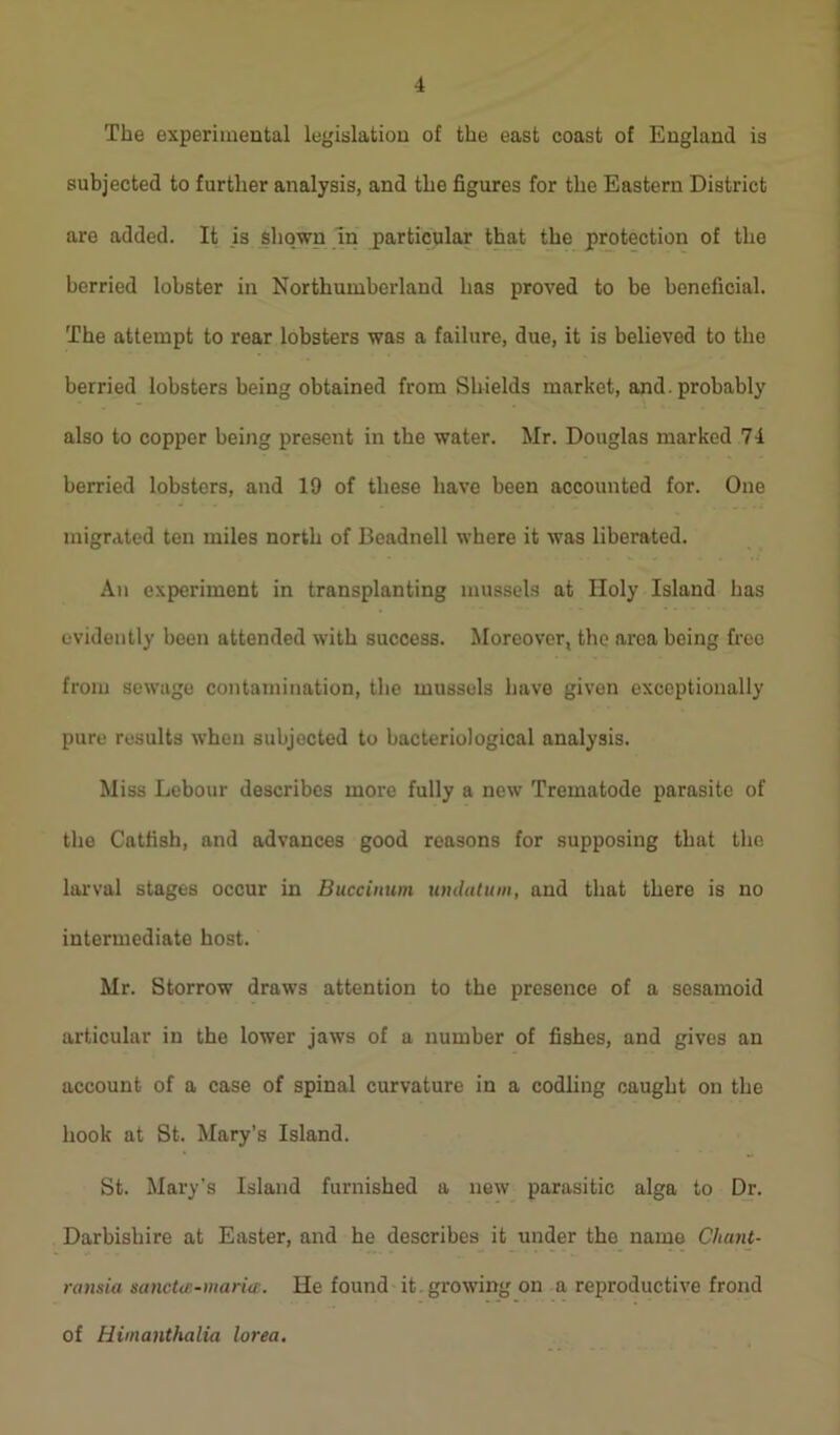 The experimental legislation of the east coast of England is subjected to further analysis, and the figures for the Eastern District arc added. It is shown in particular that the protection of the berried lobster in Northumberland has proved to be beneficial. The attempt to rear lobsters was a failure, due, it is believed to the berried lobsters being obtained from Shields market, and. probably also to copper being present in the water. Mr. Douglas marked 74 berried lobsters, and 19 of these have been accounted for. One migrated ten miles north of Beadnell where it was liberated. An experiment in transplanting mussels at Holy Island has evidently been attended with success. Moreover, the area being freo from sewage contamination, the mussels have given exceptionally pure results when subjected to bacteriological analysis. Miss Lebour describes more fully a new Trematode parasite of the Catfish, and advances good reasons for supposing that the larval stages occur in Buccinum undatum, and that there is no intermediate host. Mr. Storrow draws attention to the presence of a sesamoid articular in the lower jaws of a number of fishes, and gives an account of a case of spinal curvature in a codling caught on the hook at St. Mary’s Island. St. Mary’s Island furnished a new parasitic alga to Dr. Darbisliire at Easter, and he describes it under the name Chant- ransia sanctte-mariaHe found it. growing on a reproductive frond of Himanthalia lorea.