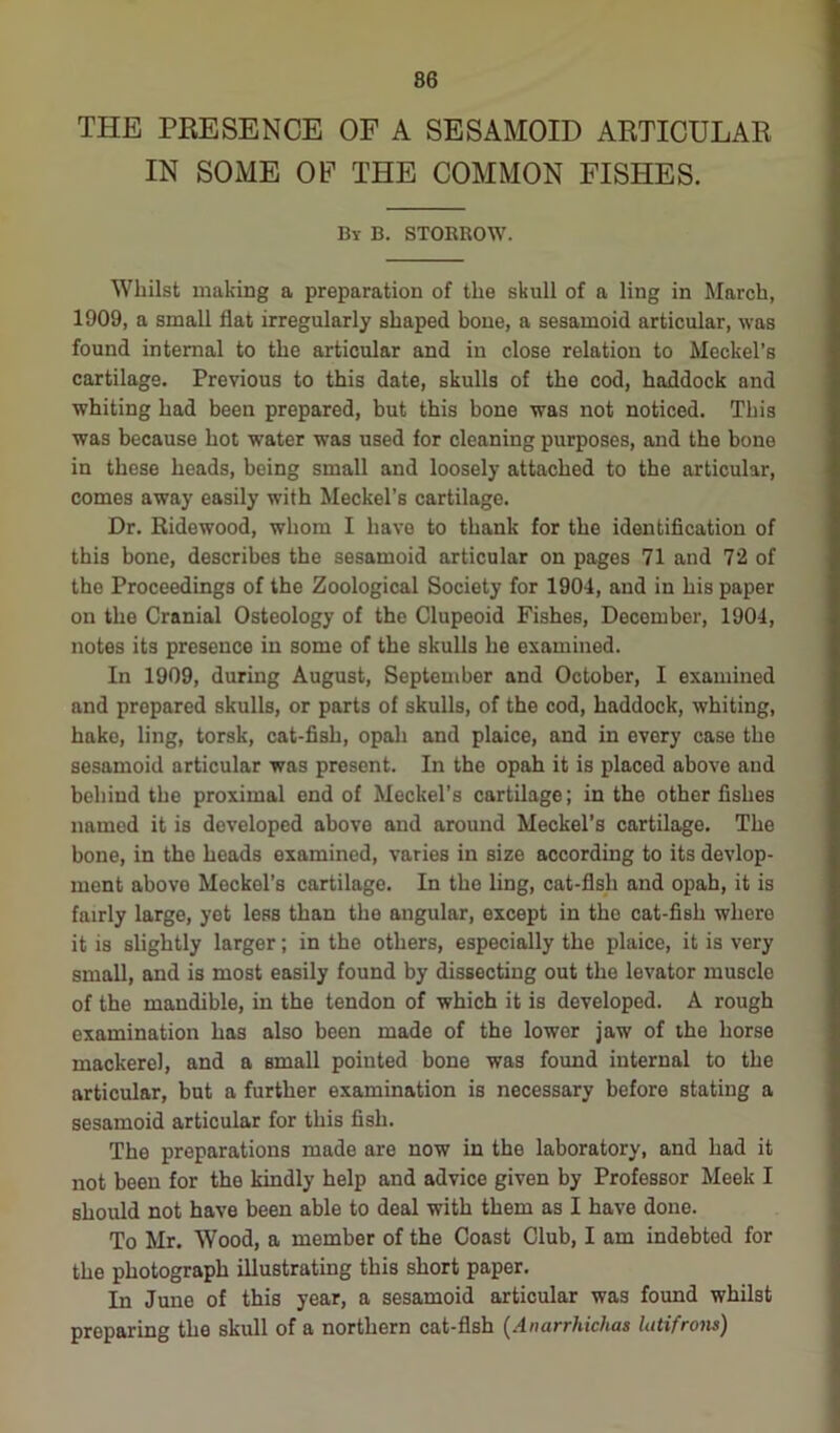 THE PRESENCE OF A SESAMOID ARTICULAR IN SOME OF THE COMMON FISHES. By B. STORROW. Whilst making a preparation of the skull of a ling in March, 1909, a small flat irregularly shaped bone, a sesamoid articular, was found internal to the articular and in close relation to Meckel’s cartilage. Previous to this date, skulls of the cod, haddock and whiting had been prepared, but this bone was not noticed. This was because hot water was used for cleaning purposes, and the bone in these heads, being small and loosely attached to the articular, comes away easily with Meckel’s cartilage. Dr. Ridewood, whom I have to thank for the identification of this bone, describes the sesamoid articular on pages 71 and 72 of the Proceedings of the Zoological Society for 1904, and in his paper on the Cranial Osteology of the Clupeoid Fishes, December, 1904, notes its presence in some of the skulls he examined. In 1909, during August, September and October, I examined and prepared skulls, or parts of skulls, of the cod, haddock, whiting, hake, ling, torsk, cat-fish, opah and plaice, and in every case the sesamoid articular was present. In the opah it is placed above and behind the proximal end of Meckel’s cartilage; in the other fishes named it is developed above and around Meckel’s cartilage. The bone, in the heads examined, varies in size according to its devlop- ment above Meckel’s cartilage. In the ling, cat-fish and opah, it is fairly large, yet less than the angular, except in the cat-fish where it is slightly larger; in the others, especially the plaice, it is very small, and is most easily found by dissecting out the levator muscle of the mandible, in the tendon of which it is developed. A rough examination has also been made of the lower jaw of the horse mackerel, and a small pointed bone was found internal to the articular, but a further examination is necessary before stating a sesamoid articular for this fish. The preparations made are now in the laboratory, and had it not been for the kindly help and advice given by Professor Meek I should not have been able to deal with them as I have done. To Mr. Wood, a member of the Coast Club, I am indebted for the photograph illustrating this short paper. In June of this year, a sesamoid articular was found whilst preparing the skull of a northern cat-fish (Anarrhichaa lutifrom)