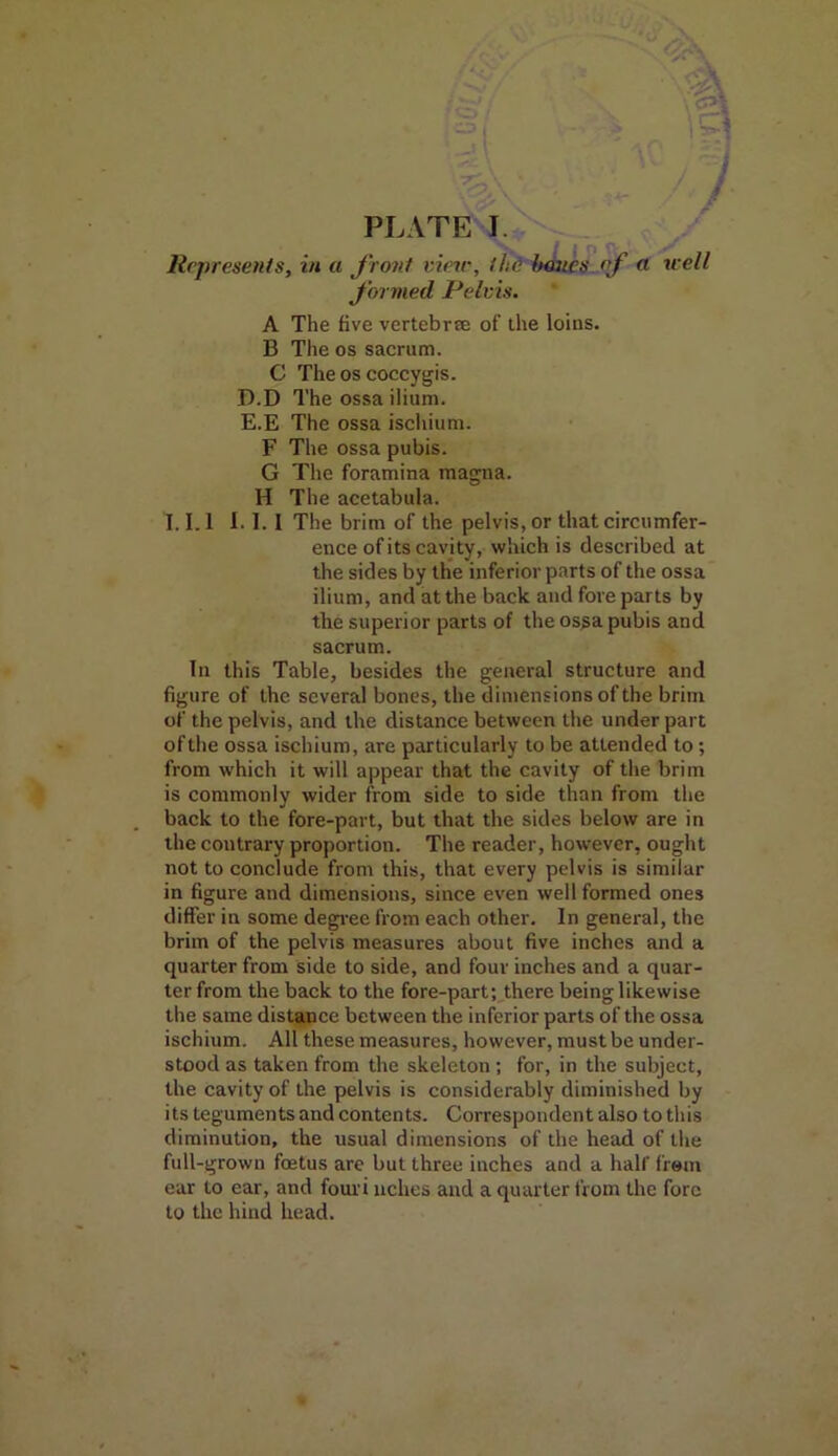 Represents, in a front view, the banes of a well formed Pelvis. A The five vertebrae of the loins. B The os sacrum. C The os coccygis. D. D The ossa ilium. E. E The ossa ischium. F The ossa pubis. G The foramina magna. H The acetabula. T. 1.1 1.1. I The brim of the pelvis, or that circumfer- ence of its cavity, which is described at the sides by the inferior parts of the ossa ilium, and at the back and fore parts by the superior parts of the ossa pubis and sacrum. In this Table, besides the general structure and figure of the several bones, the dimensions of the brim of the pelvis, and the distance between the under part oflhe ossa ischium, are particularly to be attended to; from which it will appear that the cavity of the brim is commonly wider from side to side than from the back to the fore-part, but that the sides below are in the contrary proportion. The reader, however, ought not to conclude from this, that every pelvis is similar in figure and dimensions, since even well formed ones differ in some degree from each other. In general, the brim of the pelvis measures about five inches and a quarter from side to side, and four inches and a quar- ter from the back to the fore-part; there being likewise the same distance between the inferior parts of the ossa ischium. All these measures, however, must be under- stood as taken from the skeleton ; for, in the subject, the cavity of the pelvis is considerably diminished by its teguments and contents. Correspondent also to this diminution, the usual dimensions of the head of the full-grown foetus are but three inches and a half from ear to ear, and fouri aches and a quarter from the fore to the hind head.