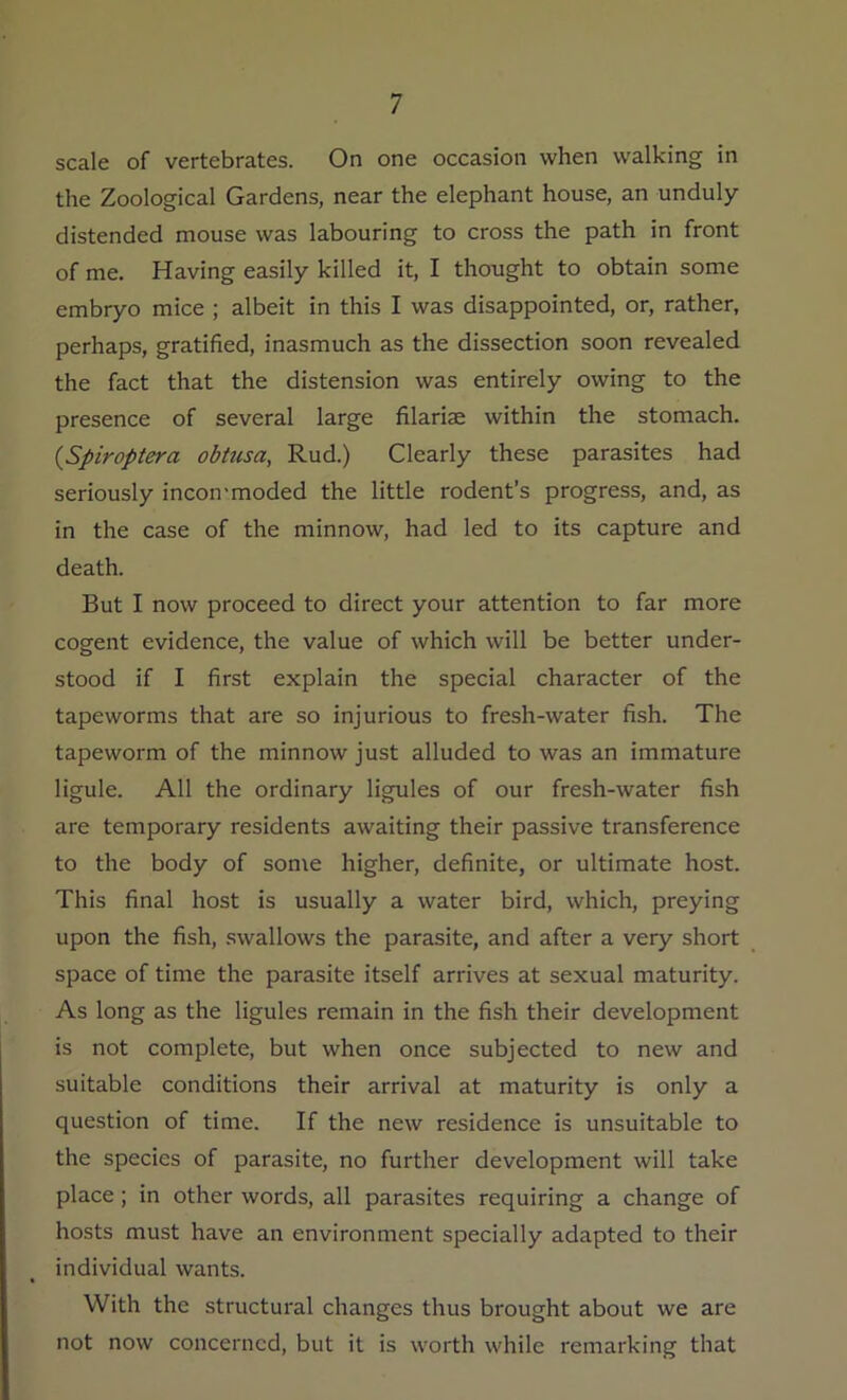scale of vertebrates. On one occasion when walking in the Zoological Gardens, near the elephant house, an unduly- distended mouse was labouring to cross the path in front of me. Having easily killed it, I thought to obtain some embryo mice ; albeit in this I was disappointed, or, rather, perhaps, gratified, inasmuch as the dissection soon revealed the fact that the distension was entirely owing to the presence of several large filariae within the stomach. (,Spiroptera obiusa, Rud.) Clearly these parasites had seriously incommoded the little rodent’s progress, and, as in the case of the minnow, had led to its capture and death. But I now proceed to direct your attention to far more cogent evidence, the value of which will be better under- stood if I first explain the special character of the tapeworms that are so injurious to fresh-water fish. The tapeworm of the minnow just alluded to was an immature ligule. All the ordinary ligules of our fresh-water fish are temporary residents awaiting their passive transference to the body of some higher, definite, or ultimate host. This final host is usually a water bird, which, preying upon the fish, swallows the parasite, and after a very short space of time the parasite itself arrives at sexual maturity. As long as the ligules remain in the fish their development is not complete, but when once subjected to new and suitable conditions their arrival at maturity is only a question of time. If the new residence is unsuitable to the species of parasite, no further development will take place; in other words, all parasites requiring a change of hosts must have an environment specially adapted to their individual wants. With the structural changes thus brought about we are not now concerned, but it is worth while remarking that