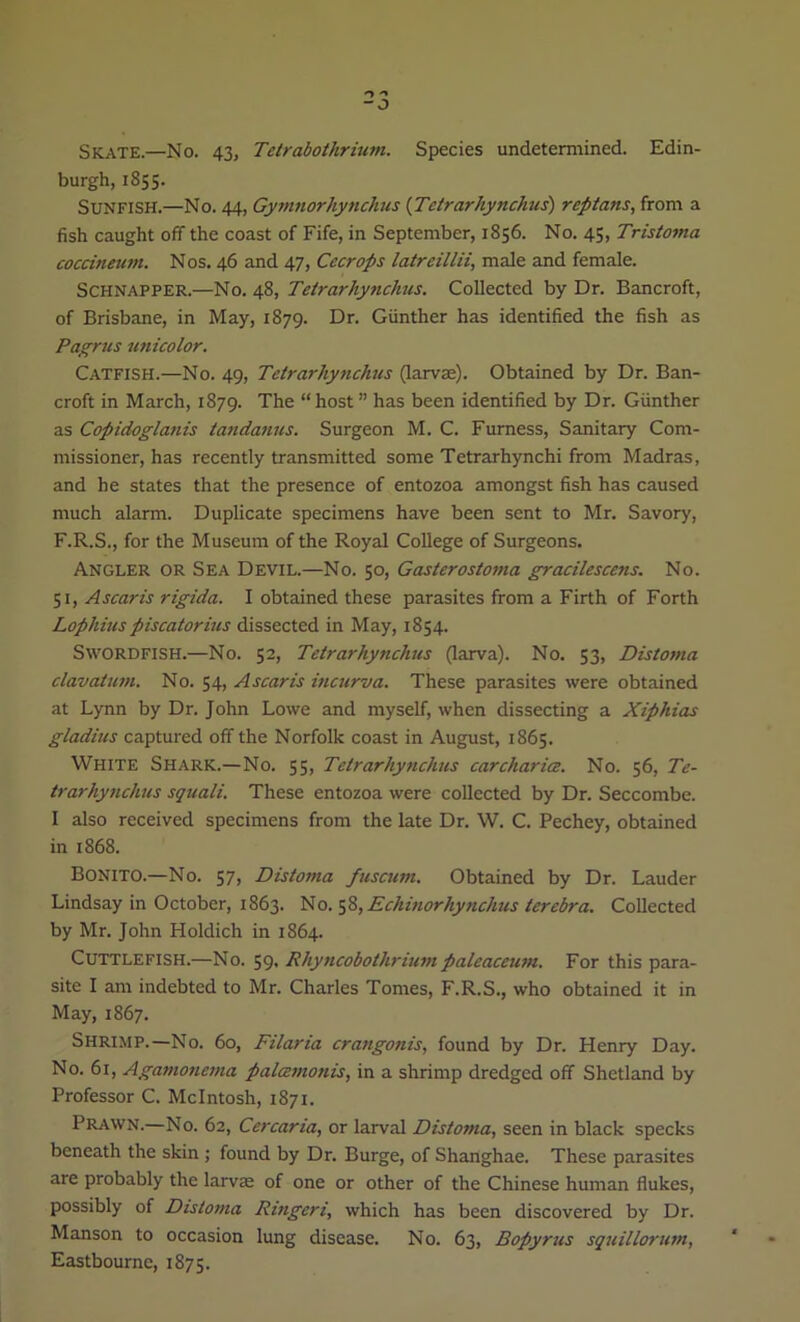 -o Skate.—No. 43, Tetrabothrium. Species undetermined. Edin- burgh, 1855. Sunfish.—No. 44, Gymnorhynchus [Tetrarhynchus) reptans, from a fish caught off the coast of Fife, in September, 1856. No. 45, Tristotna coccineum. Nos. 46 and 47, Cecrops latreillii, male and female. Schnapper.—N o. 48, Tetrarhynchus. Collected by Dr. Bancroft, of Brisbane, in May, 1879. Dr. Gunther has identified the fish as Pagrus unicolor. Catfish.—No. 49, Tetrarhynchus (larvae). Obtained by Dr. Ban- croft in March, 1879. The “ host ” has been identified by Dr. Gunther as Copidoglatiis tandanus. Surgeon M. C. Furness, Sanitary Com- missioner, has recently transmitted some Tetrarhynchi from Madras, and he states that the presence of entozoa amongst fish has caused much alarm. Duplicate specimens have been sent to Mr. Savory, F.R.S., for the Museum of the Royal College of Surgeons. Angler or Sea Devil.—No. 50, Gasterostoma gracilescens. No. 51, Ascaris rigida. I obtained these parasites from a Firth of Forth Lophius piscatorius dissected in May, 1854. Swordfish.—No. 52, Tetrarhynchus (larva). No. 53, Distoma clavatum. No. 54, Ascaris incurva. These parasites were obtained at Lynn by Dr. John Lowe and myself, when dissecting a Xiphias gladius captured off the Norfolk coast in August, 1865. White Shark.—No. 55, Tetrarhynchus carcharia. No. 56, Te- trarhynchus squali. These entozoa were collected by Dr. Seccombe. I also received specimens from the late Dr. W. C. Pechey, obtained in 1868. BONITO.—No. 57, Distoma fuscum. Obtained by Dr. Lauder Lindsay in October, 1863. No. 58, Echinorhynchus terebra. Collected by Mr. John Holdich in 1864. Cuttlefish.—No. 59. Rhyncobothrium paleaceum. For this para- site I am indebted to Mr. Charles Tomes, F.R.S., who obtained it in May, 1867. Shrimp.—No. 60, Filaria crangonis, found by Dr. Henry Day. No. 61, Agamonema palcemonis, in a shrimp dredged off Shetland by Professor C. McIntosh, 1871. Prawn,—No. 62, Cercaria, or larval Distoma, seen in black specks beneath the skin ; found by Dr. Burge, of Shanghae. These parasites are probably the larva; of one or other of the Chinese human flukes, possibly of Distoma Ringeri, which has been discovered by Dr. Manson to occasion lung disease. No. 63, Bopyrus squillorum, Eastbourne, 1875.