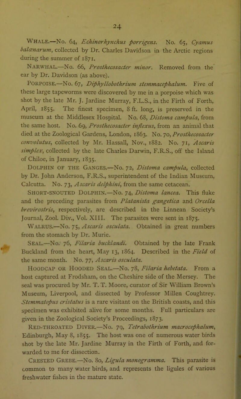 Whale.—No. 64, Echinorhynchus porrigcns. No. 65, Cyamus balanarum, collected by Dr. Charles Davidson in the Arctic regions during the summer of 1871. Narwhal.—No. 66, Prosthecosacter minor. Removed from the ear by Dr. Davidson (as above). Porpoise.—No. 67, Diphyllobothrium stcmmacephalum. Five of these large tapeworms were discovered by me in a porpoise which was shot by the late Mr. J. Jardine Murray, F.L.S., in the Firth of Forth, April, 1855. The finest specimen, 8 ft. long, is preserved in the museum at the Middlesex Hospital. No. 68, Distoma campula, from the same host. No. 69, Prosthecosacter inplexus, from an animal that died at the Zoological Gardens, London, 1863. No. 70, Prosthecosacter convolutus, collected by Mr. Hassall, Nov., 1882. No. 71, Ascaris simplex, collected by the late Charles Darwin, F.R.S., off the Island of Chiloe, in January, 1835. Dolphin of the Ganges.—No. 72, Distoma campula, collected by Dr. John Anderson, F.R.S., superintendent of the Indian Museum, Calcutta. No. 73, Ascaris delphini, from the same cetacean. Short-snouted Dolphin.—No. 74, Distoma lancea. This fluke and the preceding parasites from Platanista gangelica and Orcella brevirostris, respectively, are described in the Linnean Society’s Journal, Zool. Div., Vol. XIII. The parasites were sent in 1875. Walrus.—No. 75, Ascaris osculata. Obtained in great numbers from the stomach by Dr. Murie. Seal.—No. 76, Filaria bucklandi. Obtained by the late Frank Buckland from the heart, May 13, 1S64. Described in the Field of the same month. No. 77, Ascaris osculata. Hoodcap or Hooded Seal.—No. 78, Filaria hebetata. From a host captured at Frodsham, on the Cheshire side of the Mersey. The seal was procured by Mr. T. T. Moore, curator of Sir William Brown’s Museum, Liverpool, and dissected by Professor Millen Coughtrey. Stemmatopus cristatus is a rare visitant on the British coasts, and this specimen was exhibited alive for some months. Full particulars are given in the Zoological Society’s Proceedings, 1873. Red-throated Diver.—No. 79, Tctrabothrium macrocephaltan, Edinburgh, May 8, 1855. The host was one of numerous water birds shot by the late Mr. Jardine Murray in the Firth of Forth, and for- warded to me for dissection. Crested Grebe.—No. 80, Ligula monogratnma. This parasite is common to many water birds, and represents the ligules of various freshwater fishes in the mature state.