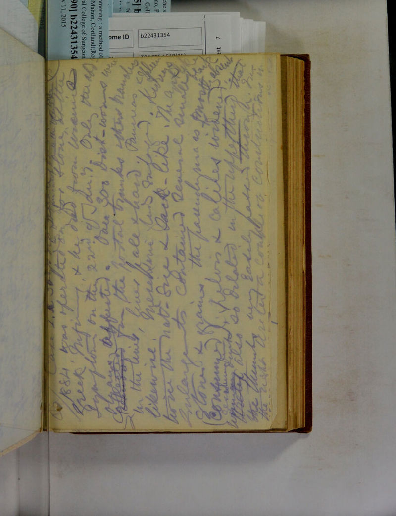 No text description is available for this image