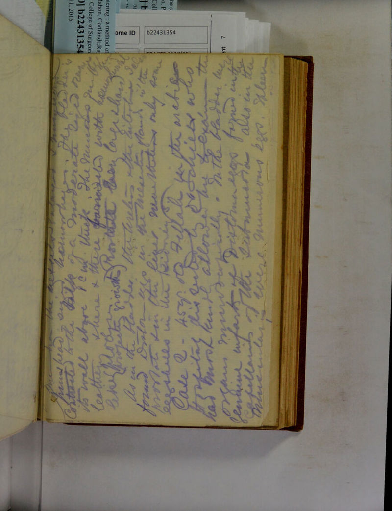 No text description is available for this image