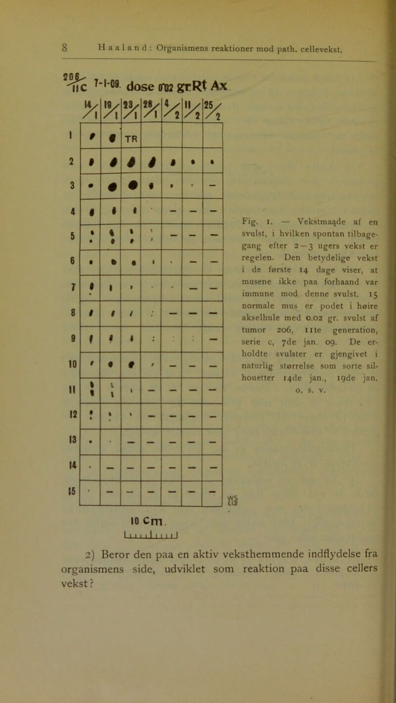 7*1'08 dose 0102 grRt Ax X % ’A / 2 % 1 9 • TR 2 9 é 4 S » • • 3 • é • • • • - 4 « « 1 - - - 5 • « 1 1 • 1 f 1 6 § • • 1 • - — 7 1 1 » • — - 8 t $ 1 • — — — 9 f « 1 — 10 i 9 9 9 - - — II 1 1 V l • - - — — 12 • t % % - - - - 13 • • - - - - - 14 • 15 » - - - — - - 10 Cm 1KI Fig. i. — Vekstmaade af en svulst, i hvilken spontan tilbage- gang efter 2 — 3 ugers vekst er regelen. Den betydelige vekst i de første 14 dage viser, at musene ikke paa forhaand var immune mod denne svulst. 15 normale mus er podet i høire akselhule med 0.02 gr. svulst af tumor 206, ilte generation, serie c, 7de jan. 09. De er- holdte svulster er gjengivet i naturlig størrelse som sorte sil- houetter 14de jan., 19de jan. o. s. v. I'■I '1 '' I 2) Beror den paa en aktiv veksthemmende indflydelse fra organismens side, udviklet som reaktion paa disse cellers vekst ?