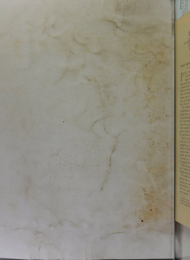 digitised image 2