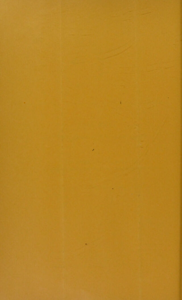digitised image 3