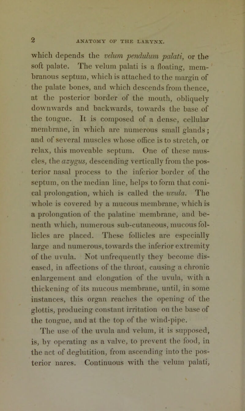 which depends tlie velum pendulum palati, or the soft palate. The velum palati is a floating, mem- hranous septum, which is attached to the margin of the palate bones, and which descends from thence, at the posterior border of the mouth, obliquely downwards and backwards, touards the base of the tongue. It is composed of a dense, cellular membrane, in which are numerous small glands; and of several muscles whose office is to stretch, or relax, tliis moveable septum. One of these mus- cles, the azygus, descending vertically from the pos- terior nasal procc.ss to the inferior border of the septum, on the median line, helps to form that coni- cal prolongation, which is called the uvula. The whole is covered by a mucous membmne, which is a prolongation of the palatine membrane, and be- neath which, numerous sub-cutaneous, mucous fol- licles are placed. These follicles are especially large and numerous, towards the inferior extremity of the uvula. Not unfrequently they become dis- eased, in affections of the throat, causing a chronic enlargement and elongation of the uvula, Avith a thickening of its mucous membrane, until, in some instances, this organ reaches the opening of the glottis, producing constant irritation on the base of the tongue, and at the top of the wind-pipe. The use of the uvula and velum, it is supposed, is, by operating as a valve, to prevent the food, in the act of deglutition, from ascending into the pos- terior nares. Continuous with the velum palati.