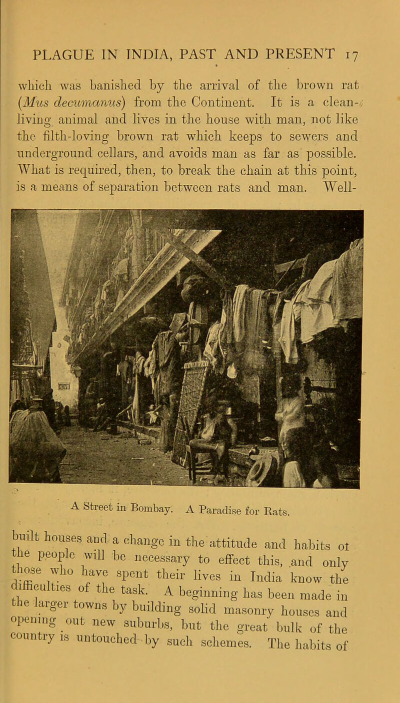 which was banished by the arrival of the brown rat [Mils decumanus) from the Continent. It is a clean- living animal and lives in the house with man, not like the filth-loving brown rat which keeps to sewers and underground cellars, and avoids man as far as possible. What is required, then, to break the chain at this point, is a means of separation between rats and man. Well- A Street in Bombay. A Paradise for Rats. built houses and a change in the attitude and habits ol ie people will be necessary to effect this, and only those who have spent their lives in India know the difficulties of the task. A beginning has been made in the larger towns by building solid masonry houses and opening out new suburbs, but the great bulk of the country is untouched by such schemes. The habits of