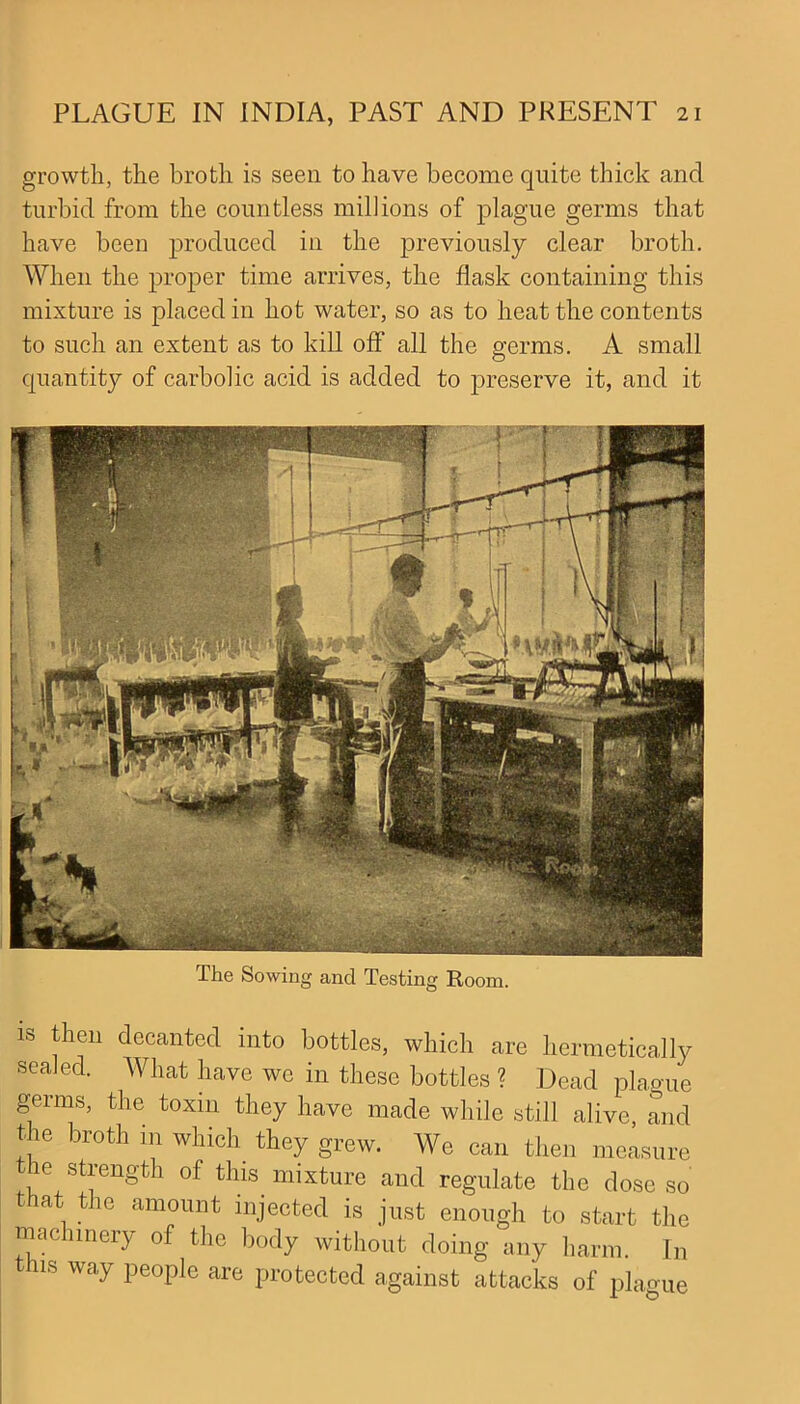 growth, the broth is seen to have become quite thick and turbid from the countless millions of plague germs that have been produced in the previously clear broth. When the proper time arrives, the flask containing this mixture is placed in hot water, so as to heat the contents to such an extent as to kill off all the germs. A small quantity of carbolic acid is added to preserve it, and it The Sowing and Testing Room. is then decanted into bottles, which are hermetically sealed. What have we in these bottles ? Dead plague germs, the toxin they have made while still alive, and the broth in which they grew. We can then measure he strength of this mixture and regulate the dose so that the amount injected is just enough to start the machinery of the body without doing any harm. In 11s way people are protected against attacks of plague