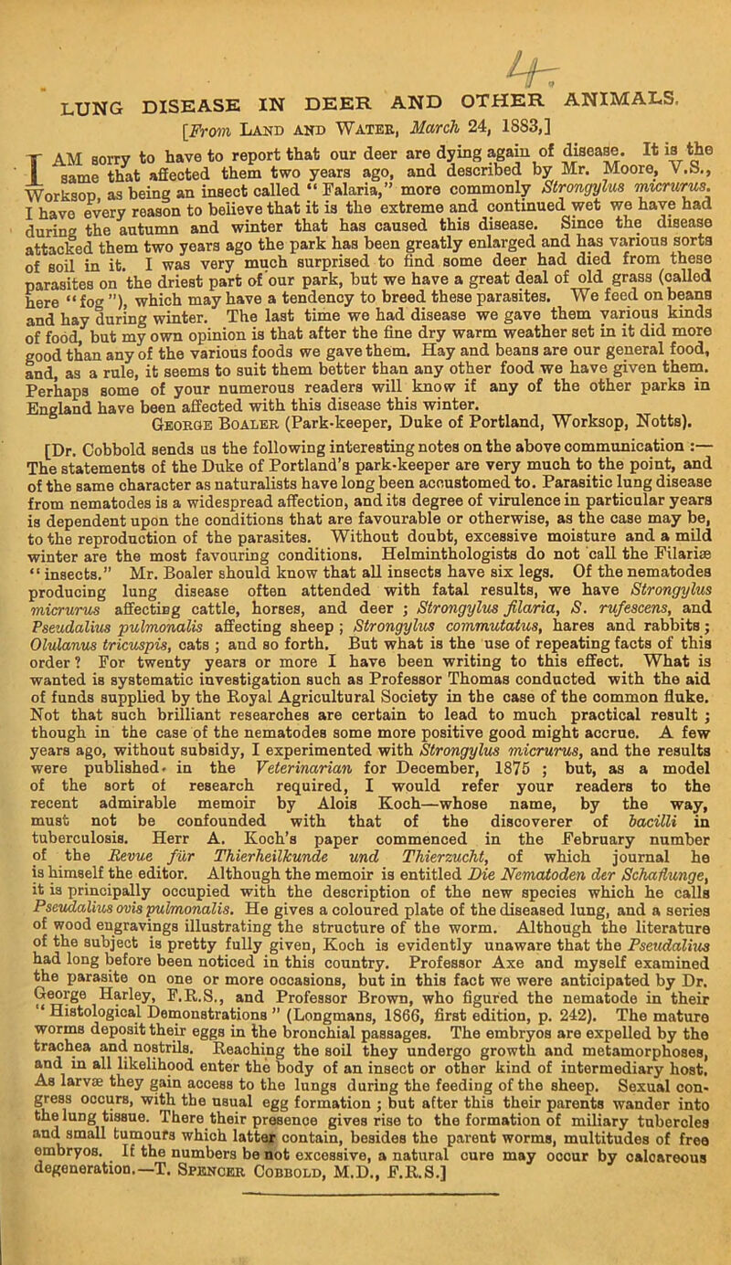 LUNG DISEASE IN DEER AND OTHER ANIMALS, [From Land and Watee, March 24, 1883,] I AM sorry to have to report that our deer are dying again of disease. It is the same timt affected them two years ago, and described by Mr. Moore, V.S,, Worksop as being an insect called “ Falaria,” more commonly Sirongylus mtcrurm. I have every reason to believe that it is the extreme and continued wet we have had during the autumn and winter that has caused this disease. Since the disease attacked them two years ago the park has been greatly enlarged and has various sorts of soil in it. I was very much surprised to find some deer had died from these parasites on the driest part of our park, but we have a great deal of old grass (called here “fog ”), which may have a tendency to breed these parasites. We feed on beans and hay during winter. The last time we had disease we gave them various kinds of food, but my own opinion is that after the fine dry warm weather set in it did more good than any of the various foods we gave them. Hay and beans are our general food, and, as a rule, it seems to suit them better than any other food we have given them. Perhaps some of your numerous readers will know if any of the other parks in England have been affected with this disease this winter. George Boaler (Park-keeper, Duke of Portland, Worksop, Notts). [Dr. Cobbold sends us the following interesting notes on the above communication :— The statements of the Duke of Portland’s park-keeper are very much to the point, and of the same character as naturalists have long been accustomed to. Parasitic lung disease from nematodes is a widespread affection, and its degree of virulence in particular years is dependent upon the conditions that are favourable or otherwise, as the case may be, to the reproduction of the parasites. Without doubt, excessive moisture and a mild winter are the most favouring conditions. Helminthologists do not call the Filarise “ insects.” Mr. Boaler should know that all insects have six legs. Of the nematodes producing lung disease often attended with fatal results, we have Strongylus micrurus affecting cattle, horses, and deer ; Strongylus jilaria, S. rufescens, and Pseudalius pulmoTMlis affecting sheep; Strongylus commutatus, hares and rabbits; Olulanus tricuspis, cats ; and so forth. But what is the use of repeating facts of this order ? For twenty years or more I have been writing to this effect. What is wanted is systematic investigation such as Professor Thomas conducted with the aid of funds supplied by the Royal Agricultural Society in the case of the common fluke. Not that such brilliant researches are certain to lead to much practical result ; though in the case of the nematodes some more positive good might accrue. A few years ago, without subsidy, I experimented with Strongylus micrurus, and the results were published- in the Veterinarian for December, 1875 ; but, as a model of the sort of research required, I would refer your readers to the recent admirable memoir by Alois Koch—whose name, by the way, must not be confounded with that of the discoverer of bacilli in tuberculosis. Herr A. Koch’s paper commenced in the February number of the Revue fur ThierheilTcunde und Thierzucht, of which journal ho is himself the editor. Although the memoir is entitled Die Nematoden dtr Schadunge, it is principally occupied with the description of the new species which he calls Pseudalius ovis ^Imonalis. He gives a coloured plate of the diseased lung, and a series of wood engravings illustrating the structure of the worm. Although the literature of the subject is pretty fully given, Koch is evidently unaware that the Pseicdalius had long before been noticed in this country. Professor Axe and myself examined the parasite on one or more occasions, but in this fact we were anticipated by Dr. G^rge Harley, F.R.S., and Professor Brown, who figured the nematode in their “ Histological Deruonstrations ” (Longmans, 1866, first edition, p. 242). The mature worms deposit their eggs in the bronchial passages. The embryos are expelled by the trachea and nostrils. Reaching the soil they undergo growth and metamorphoses, and m all likelihood enter the body of an insect or other kind of intermediary host. As larvae they gain access to the lungs during the feeding of the sheep. Sexual con- gress occurs, with the usual egg formation ; but after this their parents wander into the lung tissue. There their presence gives rise to the formation of miliary tubercles and small tumoufs which latter contain, besides the parent worms, multitudes of free embryos. If the numbers be not excessive, a natural cure may occur by calcareous degeneration.—T. Spencer Cobbold, M.D., F.R.S.]