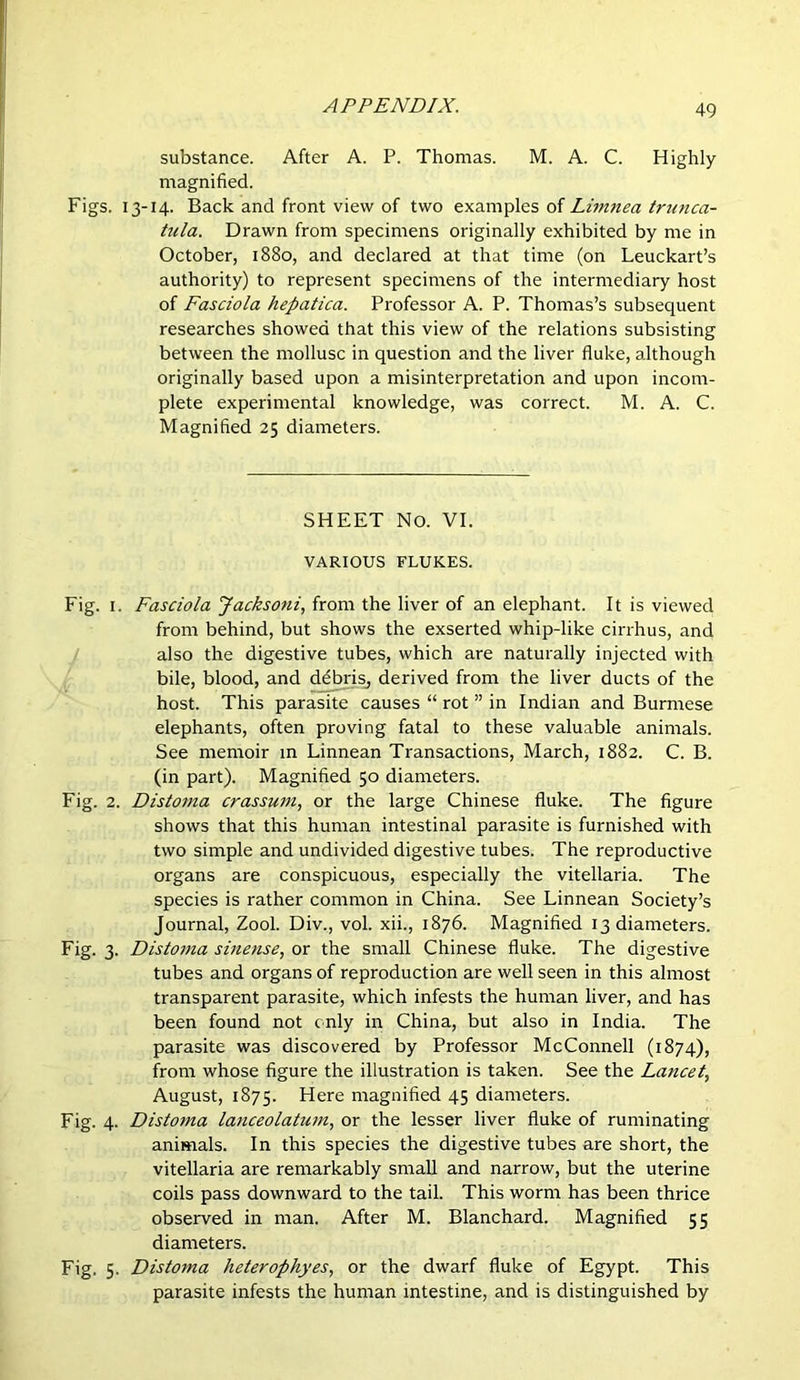 substance. After A. P. Thomas. M. A. C. Highly magnified. Figs. 13-14. Back and front view of two examples of Limnea trtmca- tula. Drawn from specimens originally exhibited by me in October, 1880, and declared at that time (on Leuckart’s authority) to represent specimens of the intermediary host of Fasciola hepatica. Professor A. P. Thomas’s subsequent researches showed that this view of the relations subsisting between the mollusc in question and the liver fluke, although originally based upon a misinterpretation and upon incom- plete experimental knowledge, was correct. M. A. C. Magnified 25 diameters. SHEET No. VI. VARIOUS FLUKES. Fig. I. Fasciola Jacksoni, from the liver of an elephant. It is viewed from behind, but shows the exserted whip-like cirrhus, and also the digestive tubes, which are naturally injected with bile, blood, and ddb^i.^ derived from the liver ducts of the host. This parasite causes “ rot ” in Indian and Burmese elephants, often proving fatal to these valuable animals. See memoir in Linnean Transactions, March, 1882. C. B. (in part). Magnified 50 diameters. Fig. 2. Distoma crassum, or the large Chinese fluke. The figure shows that this human intestinal parasite is furnished with two simple and undivided digestive tubes. The reproductive organs are conspicuous, especially the vitellaria. The species is rather common in China. See Linnean Society’s Journal, Zool. Div., vol. xii., 1876. Magnified 13 diameters. Fig. 3. Dislo7tia smense, or the small Chinese fluke. The digestive tubes and organs of reproduction are well seen in this almost transparent parasite, which infests the human liver, and has been found not i nly in China, but also in India. The parasite was discovered by Professor McConnell (1874), from whose figure the illustration is taken. See the Lancet, August, 1875. Here magnified 45 diameters. Fig. 4- Distoma laticeolatum, or the lesser liver fluke of ruminating animals. In this species the digestive tubes are short, the vitellaria are remarkably small and narrow, but the uterine coils pass downward to the tail. This worm has been thrice observed in man. After M. Blanchard. Magnified 55 diameters. Fig. 5. Distoma heterophyes, or the dwarf fluke of Egypt. This parasite infests the human intestine, and is distinguished by