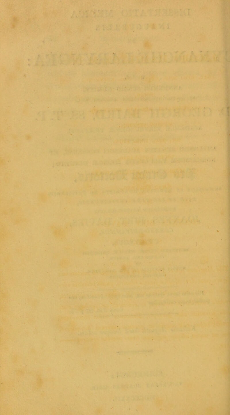 V- ^ 'r ■• 'M 'H . ' ^ ' V ^ w . ♦ • ■ • - > . ■>.••• • ■ • ># T . ■ . . ■ /> .. \ '■ N't ?#•. fV’’ ! ^ N. t # :■ . . • '^ k - ^ I»» ». ^ T»v ! V' ' % ^5 ^ '■ f !'(■■> I ■• ,rrrt jO-;:. ■. ,' i^. 'i f ,».*• i- %. ► ^ ••• »' t i*V«' ^ f I» (» .! 4 # -i' • < « • . ,u • -I'K ■ •» * '• '' ••' •■•<''•• -r-*» 1^. rt 4etf*' i - ■' sr ‘ v. • 'V 4» '•V •. U:' , ., S. , \ tr y V “■'J^ '‘'T'*^ ■• •'■'i 4»'-U'-'*“' ''»■■• r •4' .'• • L e» ^ ^■,i iJL’> '* , ^ 'm j r ”:t> «ik L5v,--. .; .. - .»