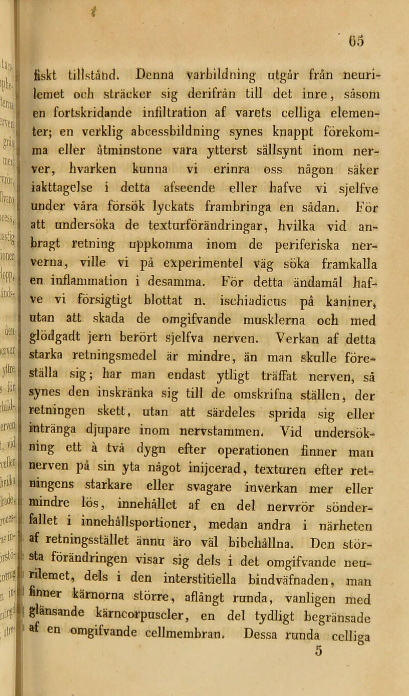 ■tar.. iplip.' terci' ?aa| Triir, ^ llnro| icess, j laslig ionet, ■lopp, ands-, a icrver | yltie I S fe [bilfe eiA^D. [,vii •celfe Ifilt* Irafei 1 rocfs^l'. isfej: )rst«i ;orD>^f n atrai' fiskt tillståhd» Denna varOildning utgår från neuri- lemet ocli sträcker sig derifrån till det inre, såsom en fortskridande infiltration af varets celliga elemen- ter; en verklig abcessbildning synes knappt förekom- ma eller åtminstone vara ytterst sällsynt inom ner- ver, hvarken kunna vi erinra oss någon säker iakttagelse i detta afseende eller bafve vi sjelfve under våra försök lyckats frambringa en sådan» För att undersöka de texturförändringar, livilka vid an- bragt retning uppkomma inom de periferiska ner- verna, ville vi på experimentel väg söka framkalla en inflammation i desamma. För detta ändamål liaf- ve vi försigtigt blottat n. ischiadicus på kaniner, utan att skada de omgifvande musklerna och med glödgadt jern berört sjelfva nerven. Verkan af detta starka retningsmedel är mindre, än man skulle före- ställa sig; har man endast ytligt träffat nerven, så synes den inskränka sig till de omskrifna ställen, der retningen skett, utan att särdeles sprida sig eller intränga djupare inom nervstaramen. Vid undersök- ning ett å två dygn efter operationen finner man nerven på sin yta något inijcerad, texturen efter ret- ningens starkare eller svagare inverkan mer eller mindre lÖs, innehållet af en del nervrör sönder- fallet i innehållsportioner, medan andra i närheten af retningsstället ännu äro väl bibehållna. Den stör- sta förändringen visar sig dels i det omgifvande neu- rilemet, dels i den interstitiella bindväfnaden, man finner kärnorna större, aflångt runda, vanligen med glänsande kärncorpuscler, en del tydligt begränsade *f en omgifvande cellmembran. Dessa runda celliga I