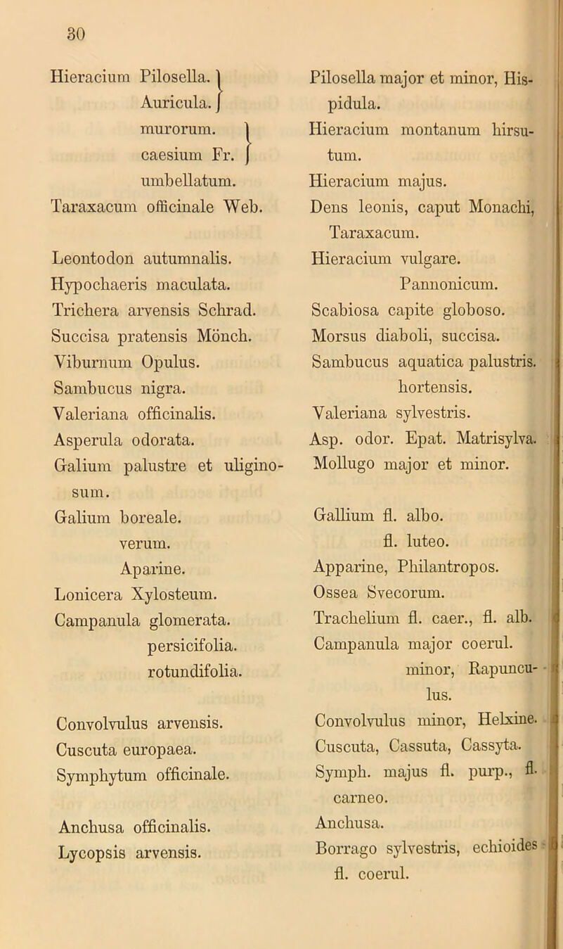 Hieracium Pilosella. | Auricula. J murorura. 1 caesium Fr. j umbellatum. Taraxacum officinale Web. Leontodon aiitumnalis. Hypocbaeris maculata. Tricbera arvensis Schrad. Succisa pratensis Möncb. Viburniim Opulus. Sambucus nigra. Valeriana officinalis. Asperula odorata. Graliura palustre et uUgino- siim. Galiura boreale. verum. Aparine. Lonicera Xylostemu. Campanula glomerata. persicifolia. rotundifolia. Convolvulus arvensis. Cuscuta europaea. Sympbytum officinale. Ancbusa officinalis. Lycopsis arvensis. Pilosella major et minor, His- pidula. Hieracium montanum birsu- tum. Hieracium majus. Dens leonis, caput Monachi, Taraxacum. Hieracium vulgäre. Pannonicum. Scabiosa capite globoso. Morsus diaboli, succisa. Sambucus aquatica palustris. bortensis. Valeriana sylvestris. Asp. odor. Epat. Matrisylva. Mollugo major et minor. Gallium fl. albo. fl. luteo. Apparine, Pbilantropos. Ossea Svecorum. Tracbelium fl. caer., fl. alb. Campanula major coerul. minor, Rapuncu- lus. Convolvulus minor, Helxme. Cuscuta, Cassuta, Cassyta. Symph. majus fl. purp., fl- carneo. Ancbusa. Borrago sylvestris, ecbioides fl. coerul.