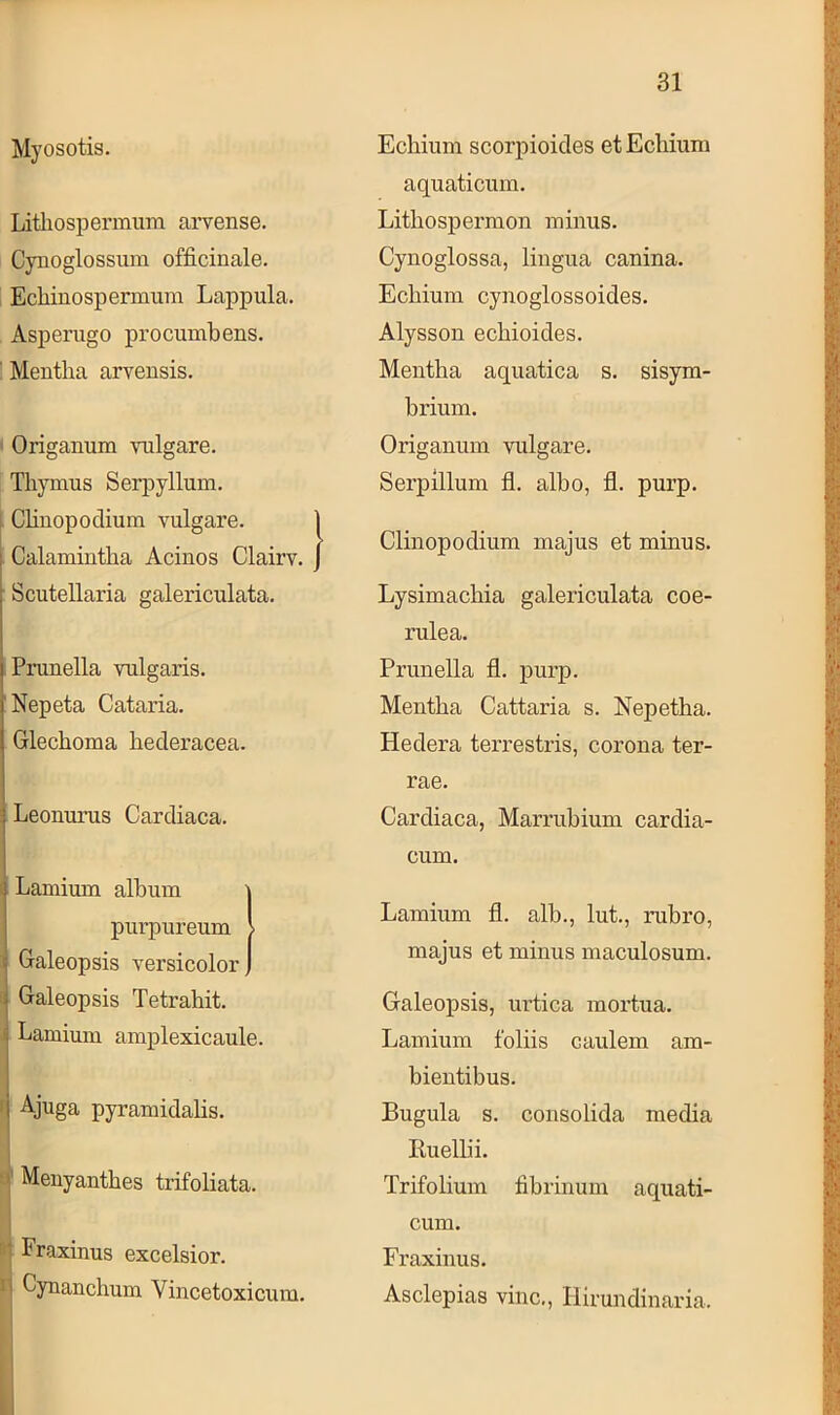 Myosotis. Litliospermum arvense. Cynoglossum officinale. Ecliiuospermum Lappula. Asperugo procumbens. ' Mentha arvensis. Origanum vulgäre. Thymus Serpyllum. I Clinopodium vulgäre. I Calamintlia Acinos Clairv. Scutellaria galericulata. Prunella vulgaris. 'Nepeta Cataria. Glechoma hederacea. i Leonurus Cardiaca. i Lamium album purpureum > i Galeopsis versicolor ■i Galeopsis Tetrahit. < Laruium amplexicaule. I i| Ajuga pyramidalis. ■1 Meiiyantbes trifoliata. ' ■ Fraxinus excelsior. M Cynanchum Vincetoxicum. Echium scorpioides etEcliium aquaticum. Litbosy»ermon minus. Cynoglossa, lingua canina. Echium cynoglossoides. Alysson ecbioides. Mentha aquatica s. sisym- brium. Origanum vulgäre. Serpillum fl. albo, fl. purp. Clinopodium majus et minus. Lysimacbia galericulata coe- rulea. Prunella fl. purp. Mentha Cattaria s. Nepetba. Hedera terrestris, corona ter- rae. Cardiaca, Marrubium cardia- cum. Lamium fl. alb., lut., rubro, majus et minus maculosum. Galeopsis, urtica moi’tua. Lamium foliis caulem am- bientibus. Bugula s. consolida media Ruellii. Trifolium fibrinum aquati- cum. Fraxinus. Asclepias vinc., Hirundinaria.