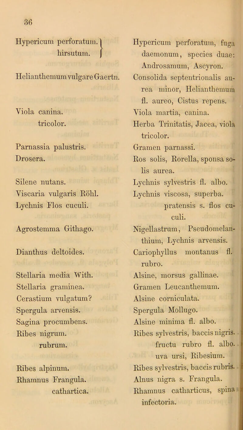 Hypericum perforatum. 1 hirsiitum. j Helianthemura vulgäre Gaertn. Viola canina. tricolor. Pamassia palustris. Drosera. Silene nutans. Viscaria vulgaris Köhl. Lychnis Flos cuculi. Agrostemma Githago. Diantlius cleltoides. Stellaria media With. Stellaria graminea. Cerastium vulgatum? Spergula arveiisis. Sagina procumbens. Ribes nigrum. rubrum. Ribes alpinum. Rhamnus Frangula. cathartica. Hypericum perforatum, fuga daemonum, species duae; Androsamum, Ascyron. Consolida septentrionalis au- rea minor, Helianthemura fl. aureo, Cistus repens. Viola martia, canina. Herba Trinitatis, Jacea, viola tricolor. Gramen parnassi. Ros solis, Rorella, sponsa so- lis aurea. Lychnis sylvestris fl. albo. Lychnis viscosa, superba. pratensis s. flos cu- culi. Nigellastrum, Pseudomelan- thium, Lychnis arvensis. Cariophyllus montanus fl. rubro. Alsine, morsus galluiae. Gramen Leucanthemum. Alsine corniculata. Spergula Mollugo. Alsine minima fl. albo. Ribes sylvestris, baccis nigris. fructu rubro fl. albo. uva ursi, Ribesium. Ribes sylvestris, baccis rubris. Alnus nigra s. Frangula. Rhamnus catharticus, spina infectoria.