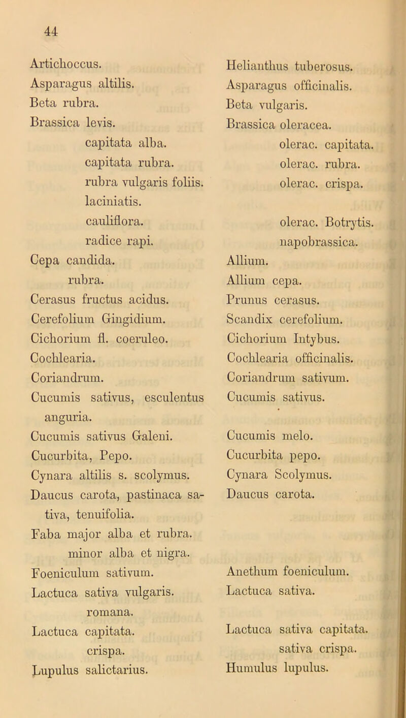Articlioccus. Asparagus altilis. Beta rubra. Brassica levis. capitata alba. caj)itata rubra. rubra vulgaris foliis. laciuiatis. cauliflora. radice rapi. Cepa candida. rubra. Cerasus fructus acidus. Cerefoliuin Gingidium. Cicborium fl. coeruleo. Cocblearia. Coriaudrum. Cucumis sativus, esculentus auguria. Cucumis sativus Galeni. Cucurbita, Pep o. Cynara altilis s. scolymus. Daucus carota, pastinaca sa- tiva, tenuifolia. Faba major alba et rubra. minor alba et nigra. Foeniculum sativum. Lactuca sativa vulgaris. romana. Lactuca capitata. crispa. Lupuliis salictarius. Helianthus tuberosus. Asparagus officinalis. Beta vulgaris. Brassica oleracea. olerac. capitata. olerac. rubra. olerac. crispa. olerac. Botrytis. napobrassica. Allium. Allium cepa. Prunus cerasus. Scaiidix cerefolium. Cicborium Intybus. Cocblearia officinalis. Coriandrum sativum. Cucumis sativus. Cucumis melo. Cucurbita pepo. Cynara Scolymus. Daucus carota. Anethum foeniculum. Lactuca sativa. Lactuca sativa capitata. sativa crispa. Humulus lupulus.