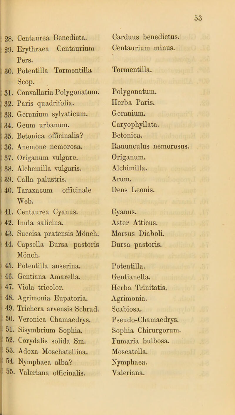 28. Centaurea Benedicta. I 29. Erytliraea Centaurium I Pers. I 30. Potentilla Tormentilla Scop. j 31. Convallaria Polygonatum. I 32. Paris quadrifolia. 33. Geranium sylvaticum. 34. Geum ixrbanum. 35. Betonica officinalis? 36. Anemone nemorosa. 37. Origanum vulgäre. 38. Alchemilla vulgaris. [ 39. Calla palustris. I 40. Taraxacum officinale I Web. \ 41. Centaurea Cyanus. 1 42. Inula salicina. :• 43. Succisa pratensis Möncb. : 44. CapseUa Bursa pastoris i Möncb. i 45. Potentilla anserina. i 46. Gentiana Amarella. 1 47. Viola tricolor. ; 48. Agrimonia Eupatoria. ; 49. Tricbera arvensis Scbrad. 50. Veronica Chamaedrys. i 51. Sisymbrium Sophia, i 52. Corydalis solida Sm. 53. Adoxa Moschatellina. 54. Nymphaea alba? ' 55. Valeriana officinalis. Carduus benedictus. Centaurium minus. Tormentilla. Polygonatum. Herba Paris. Geranium. Caryophyllata. Betonica. Ranunculus nemorosus. Origanum. Alchimilla. Arum. Dens Leonis. Cyanus. As ter Atticus. Morsus Diaboli. Bursa pastoris. Potentilla. Gentianella. Herba Trinitatis. Agrimonia. Scabiosa. Pseudo-Chamaedrys. Sophia Chirurgorum. Fumaria bulbosa. Moscatella. Nymphaea. Valeriana.