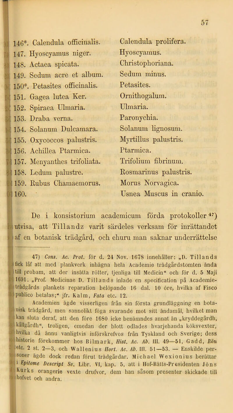 Ij :i !.| ).; [•i I y j! )< i' ni 146*. Calendula officinalis. 147. Hyoscyamus niger. 148. Actaea spicata. 149. Sedum acre et album. 150*. Petasites officinalis. 151. Gagea lutea Ker. 152. Spiraea Ulmaria. 153. Draba verna. 154. Solanum Dulcamara. 155. Oxycoccos palustris. 156. Achillea Ptarmica. 157. Menyantbes trifoliata. 158. Ledum palustre. 159. Rubus Chamaemorus. 160. Calendula prolifera. Hyoscyamus. Christophoriana. Sedum minus. Petasites. Ornithogalum. Ulmaria. Paronycbia. Solanum lignosum. Myrtillus palustris. Ptarmica. Trifolium fibrinum. Rosmarinus palustris. Morus Norvagica. Usnea Muscus in cranio. De i konsistorium academicum förda protokoller^^) Lutvisa, att Till an dz varit särdeles verksam för inrättandet I» af en botanisk trädgård, ocb eburu man saknar underrättelse 47) Cons. Ac. Prot. för d. 24 Nov. 1678 innehåller: „D. Tillands ^ fick läf att med plankverk inhägna hela Academie trädgårdstomten ända I till probam, att der insätta rötter, Ijenliga till Medicin och för d. 5 Maji 111691. „Prof. Mediciuae D. Tillands inlade en specification pä Academie- trädgårds plankets reparation belöpande 16 dal. 10 öre, hvilka af Fisco illpublico betalas; jfr. Kalm, Fata etc. 12. Academien ägde visserligen frän sin första grundläggning en bota- nisk trädgård, men sannolikt föga svarande mot sitt ändamål, hvilket man kan sluta deraf, att den före 1680 icke benämndes annat än „kryddegårdh, - källgårdh, troligen, emedan der blott odlades hvarjehanda köksvexter, : hvilka dä ännu vanligtvis införskrefvos frän Tyskland och Sverige; dess II historie förekommer hos Bilmark, Hist. Ac. Ab. 111. 49—51, Gadd, Rön nlc. 2 st. 2—3, och Wallenius llort. Ac. Ab. IM. 51—53. — Enskilde per- ■ soner ägde dock redan förut trädgårdar. Michael Wexionius berättar ’ i Epiiome Descript Sv. Libr. VI, kap. 5, att i Hof-Bätts-Presidenten Jöns 1 Kurks orangerie vexte drufvor, dem han såsom presenter skickade till i'j hofvet och andra.
