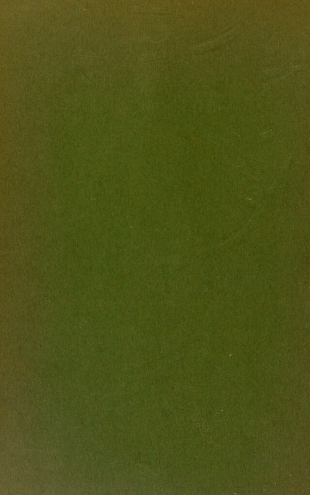 digitised image 2