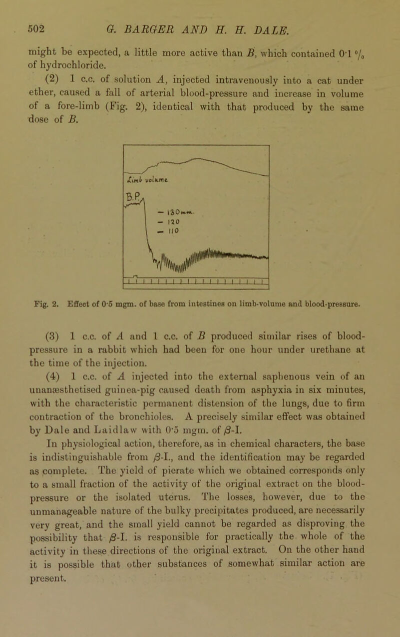 might be expected, a little more active than B, which contained 01 °/0 of hydrochloride. (2) 1 c.c. of solution A, injected intravenously into a cat under ether, caused a fall of arterial blood-pressure and increase in volume of a fore-limb (Fig. 2), identical with that produced by the same dose of B. Fig. 2. Effeot of 0 5 mgm. of base from intestines on limb-volume and blood-pressure. (3) 1 c.c. of A and 1 c.c. of B produced similar rises of blood- pressure in a rabbit which had been for one hour under urethane at the time of the injection. (4) 1 c.c. of A injected into the external saphenous vein of an unanEesthetised guinea-pig caused death from asphyxia in six minutes, with the characteristic permanent distension of the lungs, due to firm contraction of the bronchioles. A precisely similar effect was obtained by Dale and Laidlaw with 0-5 mgm. of 0-1. In physiological action, therefore, as in chemical characters, the base is indistinguishable from 0-1., and the identification may be regarded as complete. The yield of pierate which we obtained corresponds only to a small fraction of the activity of the original extract on the blood- pressure or the isolated uterus. The losses, however, due to the unmanageable nature of the bulky precipitates produced, are necessarily very great, and the small yield cannot be regarded as disproving the possibility that 0-1. is responsible for practically the whole of the activity in these directions of the original extract. On the other hand it is possible that other substances of somewhat similar action are present.