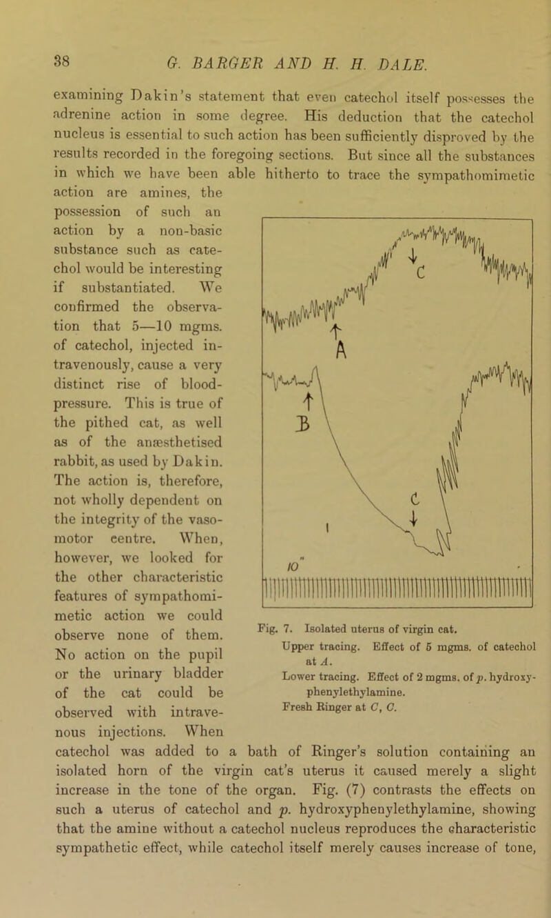 examining Dakin’s statement that even catechol itself possesses the adrenine action in some degree. His deduction that the catechol nucleus is essential to such action has been sufficiently disproved by the results recorded in the foregoing sections. But since all the substances in which we have been able hitherto to trace the sympathomimetic action are amines, the possession of such an action by a non-basic substance such as cate- chol would be interesting if substantiated. We confirmed the observa- tion that 5—10 ragms. of catechol, injected in- travenously, cause a very distinct rise of blood- pressure. This is true of the pithed cat, as well as of the anaesthetised rabbit,as used by Dakin. The action is, therefore, not wholly dependent on the integrity of the vaso- motor centre. When, however, we looked for the other characteristic features of sympathomi- metic action we could observe none of them. No action on the pupil or the urinary bladder of the cat could be observed with intrave- nous injections. When catechol was added to a bath of Ringer’s solution containing an isolated horn of the virgin cat’s uterus it caused merely a slight increase in the tone of the organ. Fig. (7) contrasts the effects on such a uterus of catechol and p. hydroxyphenylethylamine, showing that the amine without a catechol nucleus reproduces the characteristic sympathetic effect, while catechol itself merely causes increase of tone, Fig. 7. Isolated uterus of virgin cat. Upper tracing. Effect of 5 mgms. of catechol at A. Lower tracing. Effect of 2 mgms. of p. hydroxy- phenylethylamine. Fresh Ringer at C, C.