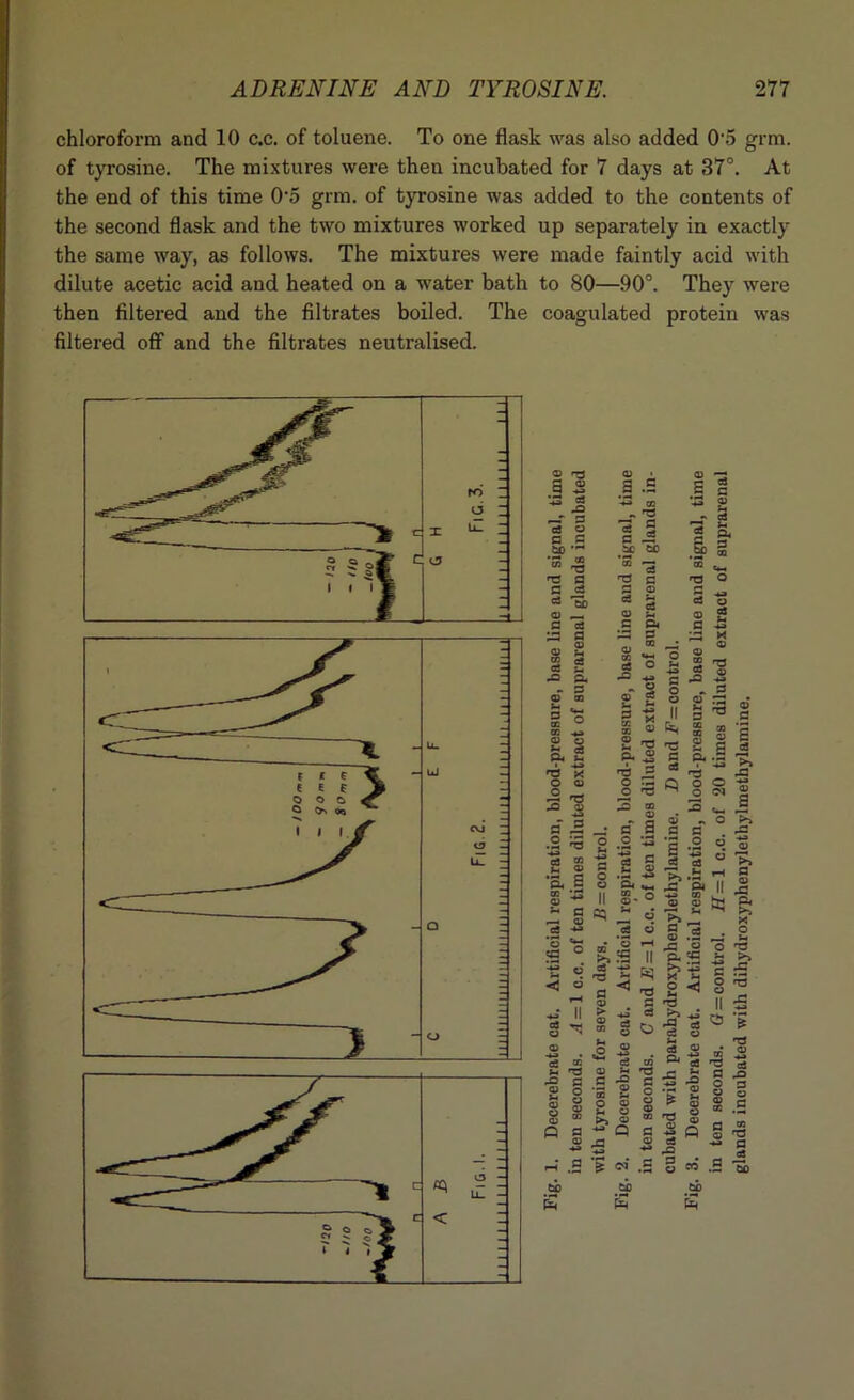 chloroform and 10 c.c. of toluene. To one flask was also added 0*5 grm. of tyrosine. The mixtures were then incubated for 7 days at 37°. At the end of this time 0‘5 grm. of tyrosine was added to the contents of the second flask and the two mixtures worked up separately in exactly the same way, as follows. The mixtures were made faintly acid with dilute acetic acid and heated on a water bath to 80—90°. They were then filtered and the filtrates boiled. The coagulated protein was filtered off and the filtrates neutralised.