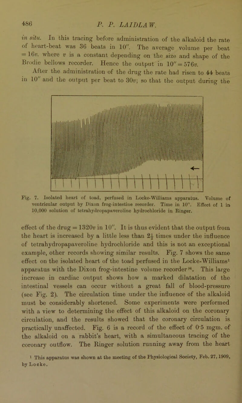 in situ. In this tracing before administration of the alkaloid the rate of heart-beat was 36 beats in 10. The average volume per beat = 16#, where v is a constant depending on the size and shape of the Brodie bellows recorder. Hence the output in 10 = 576#. After the administration of the drug the rate had risen to 44 beats in 10 and the output per beat to 30#; so that the output during the Fig. 7. Isolated heart of toad, perfused in Locke-Williams apparatus. Volume of ventricular output by Dixon frog-intestine recorder. Time in 10. Effect of 1 in 10,000 solution of tetrahydropapaveroline hydrochloride in Ringer. effect of the drug = 1320# in 10. It is thus evident that the output from the heart is increased by a little less than 2^ times under the influence of tetrahydropapaveroline hydrochloride and this is not an exceptional example, other records showing similar results. Fig. 7 shows the same effect on the isolated heart of the toad perfused in the Locke-Williams1 apparatus with the Dixon frog-intestine volume recorder,4). This large increase in cardiac output shows how a marked dilatation of the intestinal vessels can occur without a great fall of blood-pressure (see Fig. 2). The circulation time under the influence of the alkaloid must be considerably shortened. Some experiments were performed with a view to determining the effect of this alkaloid on the coronary circulation, and the results showed that the coronary circulation is practically unaffected. Fig. 6 is a record of the effect of 0 5 mgm. of the alkaloid on a rabbit’s heart, with a simultaneous tracing of the coronary outflow. The Ringer solution running away from the heart 1 This apparatus was shown at the meeting of the Physiological Society, Feb. 27,1909. by Locke.
