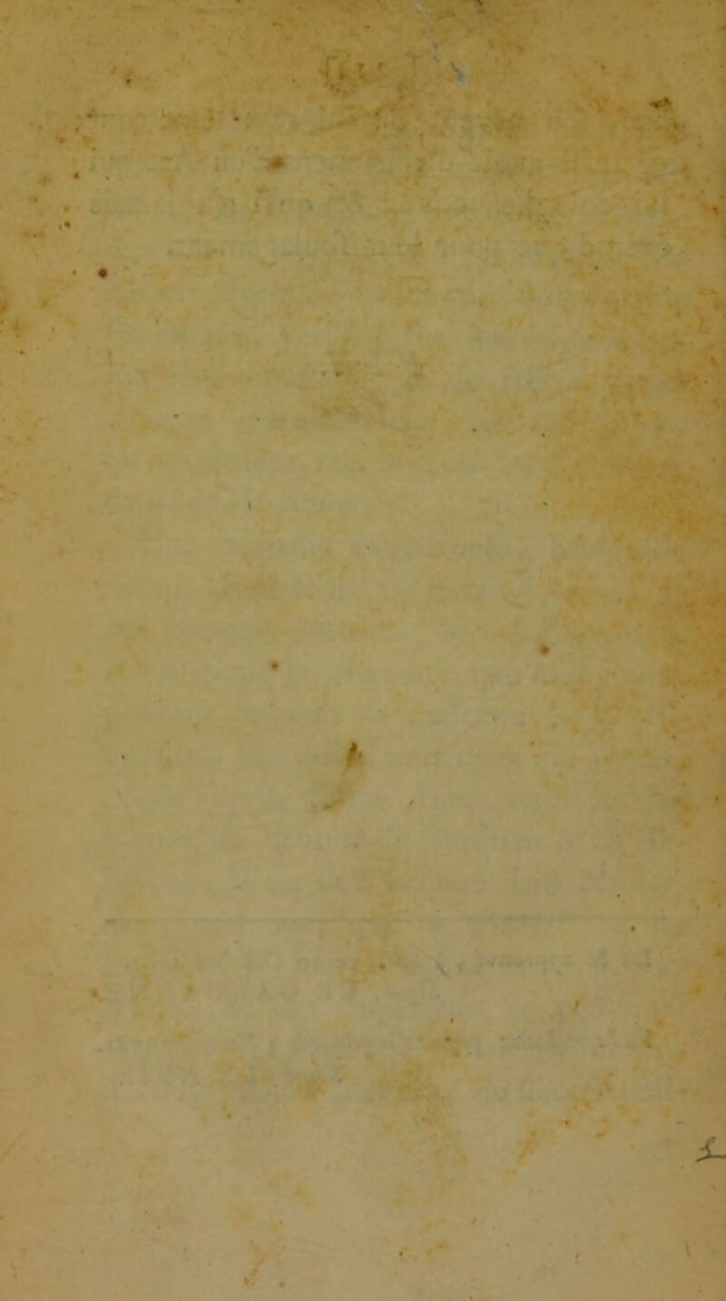 V. *>■ • ■' % -, ' v - . > . *i': U* . v « 1 * ' ** - ■ S- *■ •