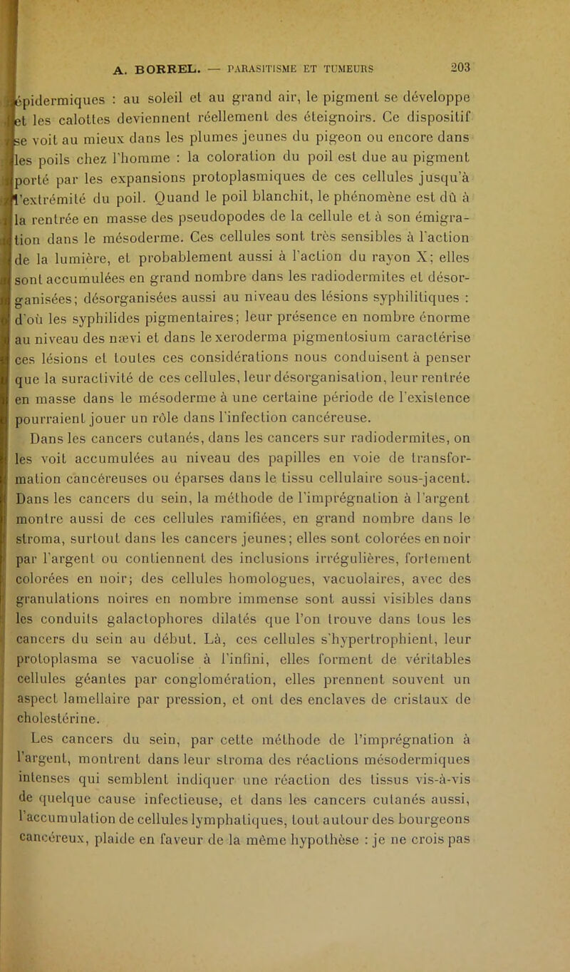 Apitlermiques : au soleil et au grand air, le pigment se développe et les calottes deviennent réellement des éteignoirs. Ce dispositif se voit au mieux dans les plumes jeunes du pigeon ou encore dans les poils chez l’homme : la coloration du poil est due au pigment porté par les expansions protoplasmiques de ces cellules jusqu’à l’extrémité du poil. Quand le poil blanchit, le phénomène est dû à la rentrée en masse des pseudopodes de la cellule et à son émigra- tion dans le mésoderme. Ces cellules sont très sensibles à l’action de la lumière, et probablement aussi à l’action du rayon X; elles sont accumulées en grand nombre dans les radiodermites et désor- ganisées; désorganisées aussi au niveau des lésions syphilitiques ; d’où les syphilides pigmentaires; leur présence en nombre énorme au niveau des nævi et dans lexeroderma pigmentosium caractérise ces lésions et toutes ces considérations nous conduisent à penser que la suractivité de ces cellules, leur désorganisation, leur rentrée en masse dans le mésoderme à une certaine période de l'existence pourraient jouer un rôle dans l’infection cancéreuse. Dans les cancers cutanés, dans les cancers sur radiodermites, on les voit accumulées au niveau des papilles en voie de transfor- mation cancéreuses ou éparses dans le tissu cellulaire sous-jacent. Dans les cancers du sein, la méthode de l'imprégnation à l'argent montre aussi de ces cellules ramifiées, en grand nombre dans le stroma, surtout dans les cancers jeunes; elles sont colorées en noir par l’argent ou contiennent des inclusions irrégulières, fortement colorées en noir; des cellules homologues, vacuolaires, avec des granulations noires en nombre immense sont aussi visibles dans les conduits galactophores dilatés que l’on trouve dans tous les cancers du sein au début. Là, ces cellules s’hypertrophient, leur protoplasma se vacuolise à l’infini, elles forment de véritables cellules géantes par conglomération, elles prennent souvent un aspect lamellaire par pression, et ont des enclaves de cristaux de cholestérine. Les cancers du sein, par cette méthode de l’imprégnation à l’argent, montrent dans leur stroma des réactions mésodermiques intenses qui semblent indiquer une réaction des tissus vis-à-vis de quelque cause infectieuse, et dans les cancers cutanés aussi, l’accumulation de cellules lymphatiques, tout autour des bourgeons cancéreux, plaide en faveur de la même hypothèse : je ne crois pas