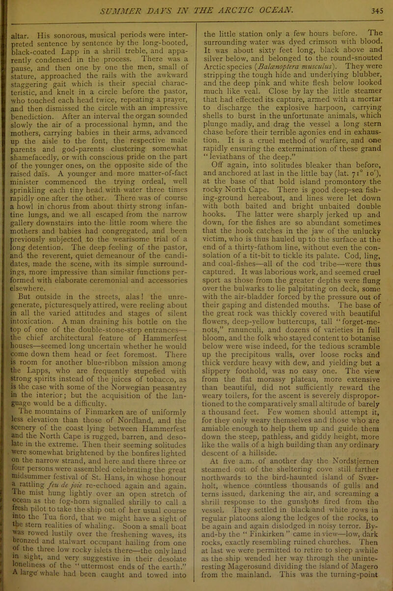 altar. His sonorous, musical periods were inter- preted sentence by sentence by the long-booted, black-coated Lapp in a shrill treble, and appa- rently condensed in the process. There was a pause, and then one by one the men, small of stature, approached the rails with the awkward staggering gait which is their special charac- teristic, and knelt in a circle before the pastor, who touched each head twice, repeating a prayer, and then dismissed the circle with an impressive benediction. After an interval the organ sounded slowly the air of a processional hymn, and the mothers, carrying babies in their arms, advanced up the aisle to the font, the respective male parents and god-parents clustering somewhat shamefacedly, or with conscious pride on the part of the younger ones, on the opposite side of the raised dais. A younger and more matter-of-fact minister commenced the trying ordeal, well sprinkling each tiny head with water three times rapidly one after the other. There was of course a howl in chorus from about thirty strong infan- tine lungs, and we all escaped from the narrow gallery downstairs into the little room where the mothers and babies had congregated, and been previously subjected to the wearisome trial of a long detention. The deep feeling of the pastor, and the reverent, quiet demeanour of the candi- dates, made the scene, with its simple surround- ings, more impressive than similar functions per- formed with elaborate ceremonial and accessories elsewhere. But outside in the streets, alas! the unre- generate, picturesquely attired, were reeling about in all the varied attitudes and stages of silent intoxication. A man draining his bottle on the top of one of the double-stone-step entrances— the chief architectural feature of Hammerfest houses—seemed long uncertain whether he would come down them head or feet foremost. There is room for another blue-ribbon mission among the Lapps, who are frequently stupefied with strong spirits instead of the juices of tobacco, as is the case with some of the Norwegian peasantry in the interior; but the acquisition of the lan- guage would be a difficulty. The mountains of Finmarken are of uniformly less elevation than those of Nordland, and the scenery of the coast lying between Hammerfest and the North Cape is rugged, barren, and deso- late in the extreme. Then their seeming solitudes were somewhat brightened by the bonfires lighted on the narrow strand, and here and there three or four persons were assembled celebrating the great midsummer festival of St. Hans, in whose honour n rattling feu de joie re-echoed again and again. The mist hung lightly over an open stretch of ocean as the fog-horn signalled shrilly to call a fresh pilot to take the ship out of her usual course mto the I ua fiord, that we might have a sight of tpe stern realities of whaling. Soon a small boat was rowed lustily over the freshening waves, its bronzed and stalwart occupant hailing from one of the three low rocky islets there—the only land >n sight, and very suggestive in their desolate loneliness of the •‘uttermost ends of the earth.” A large whale had been caught and towed into the little station only a few hours before. The surrounding water was dyed crimson with blood. It was about sixty feet long, black above and silver below, and belonged to the round-snouted Arctic species (Balccnoptera musculus). They were stripping the tough hide and underlying blubber, and the deep pink and white flesh below looked much like veal. Close by lay the little steamer that had effected its capture, armed with a mortar to discharge the explosive harpoon, carrying shells to burst in the unfortunate animals, which plunge madly, and drag the vessel a long stern chase before their terrible agonies end in exhaus- tion. It is a cruel method of warfare, and one rapidly ensuring the extermination of these grand “ leviathans of the deep.” Off again, into solitudes bleaker than before, and anchored at last in the little bay (lat. 710 10'), at the base of that bold island promontory the rocky North Cape. There is good deep-sea fish- ing-ground hereabout, and lines were let down with both baited and bright unbaited double hooks. The latter •were sharply jerked up and down, for the fishes are so abundant sometimes that the hook catches in the jaw of the unlucky victim, who is thus hauled up to the surface at the end of a thirty-fathom line, without even the con- solation of a tit-bit to tickle its palate. Cod, ling, and coal-fishes—all of the cod tribe—were thus captured. It was laborious work, and seemed cruel sport as those from the greater depths were flung over the bulwarks to lie palpitating on deck, some with the air-bladder forced by the pressure out of their gaping and distended mouths. The base of the great rock was thickly covered with beautiful flowers, deep-yellow buttercups, tall “ forget-me- nots,” ranunculi, and dozens of varieties in full bloom, and the folk who stayed content to botanise below were wise indeed, for the tedious scramble up the precipitous walls, over loose rocks and thick verdure heavy with dew, and yielding but a slippery foothold, was no easy one. The view from the flat morassy plateau, more extensive than beautiful, did not sufficiently reward the weary toilers, for the ascent is severely dispropor- tioned to the comparatively small altitude of barely a thousand feet. Few women should attempt it, for they only weary themselves and those who are amiable enough to help them up and guide them down the steep, pathless, and giddy height, more like the walls of a high building than any ordinary descent of a hillside. At five a.nr. of another day the Nordstjernen steamed out of the sheltering cove still farther northwards to the bird-haunted island of Svaer- holt, whence countless thousands of gulls and terns issued, darkening the air, and screaming a shrill response to the gunshots fired from the vessel. They settled in black and white rows in regular platoons along the ledges of the rocks, to be again and again dislodged in noisy terror. By- and-by the “ Finkirken ” came in view—low, dark rocks, exactly resembling ruined churches. Then at last we were permitted to retire to sleep awhile as the ship wended her way through the uninte- resting Magerosund dividing the island of Magero from the mainland. This was the turning-point
