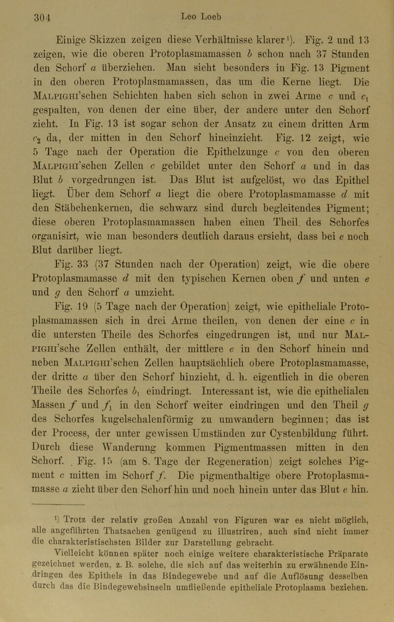 Einige Skizzen zeigen diese Verhältnisse klarer1). Fig. 2 und 13 zeigen, wie die oberen Protoplasmamassen b schon nach 37 Stunden den Schorf a überziehen. Man sieht besonders in Fig. 13 Pigment in den oberen Protoplasmamassen, das um die Kerne liegt. Die MALPiGHi’schen Schichten haben sich schon in zwei Arme c und c, gespalten, von denen der eine über, der andere unter den Schorf zieht. In Fig. 13 ist sogar schon der Ansatz zu einem dritten Arm r2 da, der mitten in den Schorf hineinzieht. Fig. 12 zeigt, wie 5 Tage nach der Operation die Epithelzunge c von den oberen MALPiGiii’schen Zellen c gebildet unter den Schorf a und in das Blut b vorgedrungen ist. Das Blut ist aufgelöst, wo das Epithel liegt. Über dem Schorf a liegt die obere Protoplasmamasse d mit den Stäbchenkernen, die schwarz sind durch begleitendes Pigment; diese oberen Protoplasmamassen haben einen Theil des Schorfes organisirt, wie man besonders deutlich daraus ersieht, dass bei e noch Blut darüber liegt. Fig. 33 (37 Stunden nach der Operation) zeigt, wie die obere Protoplasmamasse d mit den typischen Kernen oben f und unten e und g den Schorf a umzieht. Fig. 19 (5 Tage nach der Operation) zeigt, wie epitheliale Proto- plasmamassen sich in drei Arme theilen, von denen der eine c in die untersten Theile des Schorfes eingedrungen ist, und nur Mal- PiGHi’sche Zellen enthält, der mittlere e in den Schorf hinein und neben MALPiGHi’schen Zellen hauptsächlich obere Protoplasmamasse, der dritte a über den Schorf hinzieht, d. h. eigentlich in die oberen Theile des Schorfes eindringt. Interessant ist, wie die epithelialen Massen f und f\ in den Schorf weiter eindringen und den Theil g des Schorfes kugelschalenförmig zu umwandern beginnen; das ist der Process, der unter gewissen Umständen zur Cystenbildung führt. Durch diese Wanderung kommen Pigmentmassen mitten in den Schorf. . Fig. 1 T> (am 8. Tage der Regeneration) zeigt solches Pig- ment c mitten im Schorf /. Die pigmenthaltige obere Protoplasma- masse a zieht über den Schorf hin und noch hinein unter das Blut e hin. b Trotz der relativ großen Anzahl von Figuren war es nicht möglich, alle angeführten Thatsachen genügend zu illustriren, auch sind nicht immer die charakteristischsten Bilder zur Darstellung gebracht. Vielleicht können später noch einige weitere charakteristische Präparate gezeichnet werden, z. B. solche, die sich auf das weiterhin zu erwähnende Ein- dringen des Epithels in das Bindegewebe und auf die Auflösung desselben durch das die Bindegewebsinseln umfließende epitheliale Protoplasma beziehen.