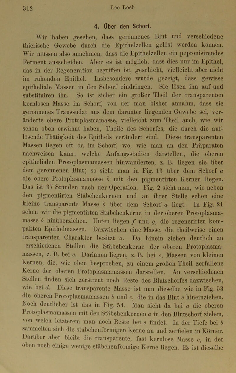 4. Über den Schorf. Wir 'haben gesehen, dass geronnenes Blut und verschiedene thierische Gewebe durch die Epithelzellen gelöst werden können. Wir müssen also annehmen, dass die Epithelzellen ein peptonisirendes Ferment ausscheiden. Aber es ist möglich, dass dies nur im Epithel, das in der Kegeneration begriffen ist, geschieht, vielleicht aber nicht im ruhenden Epithel. Insbesondere wurde gezeigt, dass gewisse epitheliale Massen in den Schorf eindringen. Sie lösen ihn auf und substituiren ihn. So ist sicher ein großer Thcil der transparenten kernlosen Masse im Schorf, von der man bisher annahm, dass sie geronnenes Transsudat aus dem darunter liegenden Gewebe sei, ver- änderte obere Protoplasmamasse, vielleicht zum Theil auch, wie wir schon oben erwähnt haben, Tlieile des Schorfes, die durch die auf- lösende Thätigkeit des Epithels verändert sind. Diese transparenten Massen liegen oft da im Schorf, wo, wie man an den Präparaten nachweisen kann, welche Anfangsstadien darstellen, die oberen epithelialen Protoplasmamassen hinwanderten, z. B. liegen sie über dem geronnenen Blut; so sieht man in Fig. 13 über dem Scborf a die obere Protoplasmamasse b mit den pigmentirten Kernen liegen. Das ist 37 Stunden nach der Operation. Fig. 2 sieht man, wie neben den pigmentirten Stäbchenkernen und an ihrer Stelle schon eine kleine transparente Masse b über dem Schorf a liegt. In Fig. 21 sehen wir die pigmentirten Stäbchenkerne in der oberen Protoplasma- masse b hinüberzieben. Unten liegen/1 und ff, die regenerirten kom- pakten Epithelmassen. Dazwischen eine Masse, die theilweise einen transparenten Charakter besitzt a. Da hinein ziehen deutlich an erschiedenen Stellen die Stäbchenkerne der oberen Protoplasma- massen, z. B. bei e. Darinnen liegen, z. B. bei c, Massen von kleinen Kernen, die, wie oben besprochen, zu einem großen Theil zerfallene Kerne der oberen Protoplasmamassen darstellen. An verschiedenen Stellen finden sich zerstreut noch Beste des Blutschorfes dazwischen, wie bei cl. Diese transparente Masse ist nun dieselbe wie in Fig. 53 die oberen Protoplasmamassen b und c, die in das Blut e hineinziehen. Noch deutlicher ist das in Fig. 54. Mau sieht da bei a die oberen 1 rotoplasmamassen mit den Stäbchenkernen a in den Blutschorf ziehen, a on welch letzterem man noch Beste bei e findet. In der Tiefe bei b sammelten sich die stäbchenförmigen Kerne an und zerfielen in Körner. Darüber aber bleibt die transparente, fast kernlose Masse c, in der oben noch einige wenige stäbchenförmige Kerne liegen. Es ist dieselbe