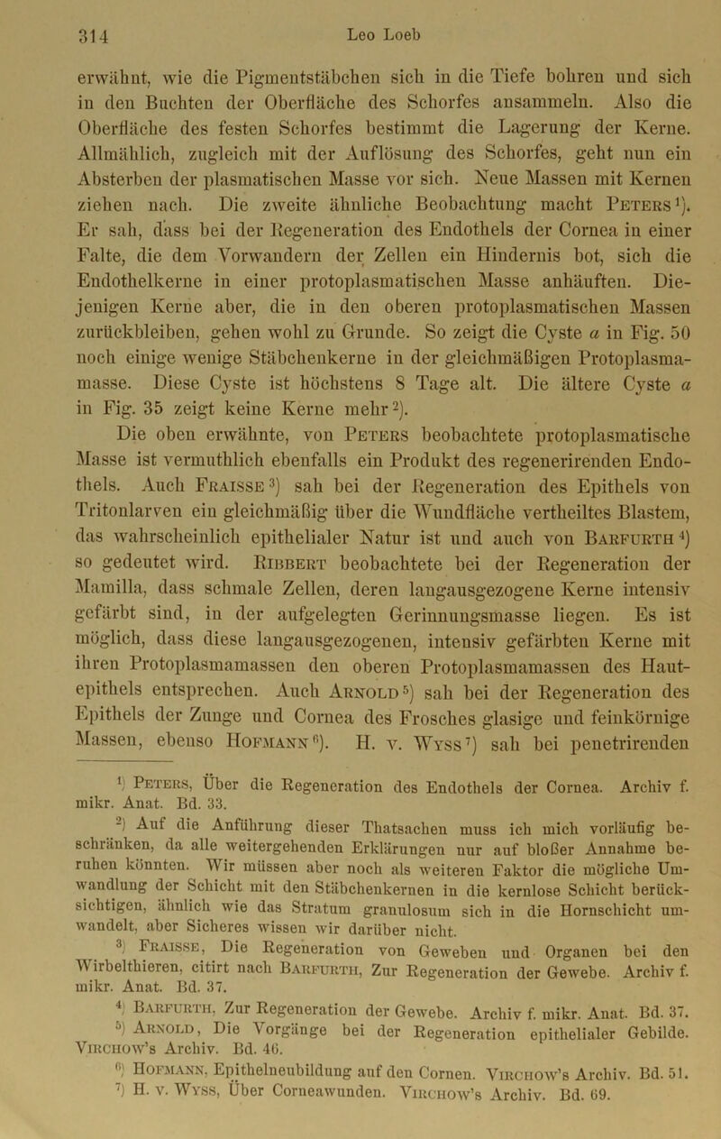 erwähnt, wie die Pigmentstäbchen sich in die Tiefe bohren und sich in den Buchten der Oberfläche des Schorfes ansammeln. Also die Oberfläche des festen Schorfes bestimmt die Lagerung- der Kerne. Allmählich, zugleich mit der Auflösung des Schorfes, geht nun ein Absterbeu der plasmatischen Masse vor sich. Neue Massen mit Kernen ziehen nach. Die zweite ähnliche Beobachtung macht Peters1). Er sah, dass bei der Regeneration des Endothels der Cornea in einer Falte, die dem Vorwandern der Zellen ein Hindernis bot, sich die Endothelkerne in einer protoplasmatischen Masse anhäuften. Die- jenigen Kerne aber, die in den oberen protoplasmatischen Massen Zurückbleiben, gehen wohl zu Grunde. So zeigt die Cyste a in Fig. 50 noch einige wenige Stäbchenkerne in der gleichmäßigen Protoplasma- masse. Diese Cyste ist höchstens 8 Tage alt. Die ältere Cyste a in Fig. 35 zeigt keine Kerne mehr2). Die oben erwähnte, von Peters beobachtete protoplasmatische Masse ist vermuthlich ebenfalls ein Produkt des regenerirenden Endo- thels. Auch Fraisse 3) sah bei der Regeneration des Epithels von Tritonlarven ein gleichmäßig über die Wundfläche vertheiltes Blastem, das wahrscheinlich epithelialer Natur ist und auch von Barfurth 4) so gedeutet wird. Ribbert beobachtete bei der Regeneration der Mamilla, dass schmale Zellen, deren langausgezogene Kerne intensiv gefärbt sind, in der aufgelegten Gerinnungsmasse liegen. Es ist möglich, dass diese langausgezogenen, intensiv gefärbten Kerne mit ihren Protoplasmamassen den oberen Protoplasmamassen des Haut- epithels entsprechen. Auch Arnold5 *) sah bei der Regeneration des Epithels der Zunge und Cornea des Frosches glasige und feinkörnige Massen, ebenso Hofmann fj. H. v. Wyss7) sah bei penetrirenden 1 Peters, Über die Regeneration des Endothels der Cornea. Archiv f. mikr. Anat. Bd. 33. Aut die Anführung dieser Thatsachen muss ich mich vorläufig be- schränken, da alle weitergehenden Erklärungen nur auf bloßer Annahme be- ruhen könnten. Wir müssen aber noch als weiteren Faktor die mögliche Um- wandlung der Schicht mit den Stäbchenkernen in die kernlose Schicht berück- sichtigen, ähnlich wie das Stratum granulosum sich in die Hornschicht um- wandelt, aber Sicheres wissen wir darüber nicht. 3 Fraisse, Die Regeneration von Geweben und Organen bei den W irbelthieren. citirt nach Barfurth, Zur Regeneration der Gewebe. Archiv f. mikr. Anat. Bd. 37. 4 Barfuri-h, Zur Regeneration der Gewebe. Archiv f. mikr. Anat. Bd. 37. 'j Arnold , Die Aorgänge bei der Regeneration epithelialer Gebilde. Virchow’s Archiv. Bd. 40. (l' Hofmann, Epithelneubildung auf den Cornen. Virchow’s Archiv. Bd. 51. 7) H. v. Wyss, Über Corneawunden. Virchow’s Archiv. Bd. 09.