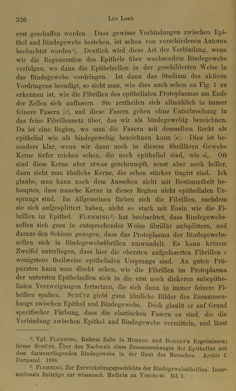 erst geschaffen werden. Dass gewisse Verbindungen zwischen Epi- thel und Bindegewebe bestehen, ist schon von verschiedenen Autoren beobachtet worden1). Deutlich wird diese Art der Verbindung, wenn wir die Regeneration des Epithels über wachsendem Bindegewebe verfolgen, wo dann die Epithelzellen in der geschilderten Weise in das Bindegewebe Vordringen. Ist dann das Stadium des aktiven Vordringens beendigt, so sieht man, wie dies auch schon an Fig. 1 zu erkennen ist, wie die Fibrillen des epithelialen Protoplasmas am Ende der Zellen sich auffasern. Sie zertheilen sich allmählich in immer feinere Fasern (c), und diese Fasern gehen ohne Unterbrechung in das feine Fibrillennetz über, das wir als bindegewebig bezeichnen. Da ist eine Region, wo man die Fasern mit demselben Recht als epithelial wie als bindegewebig bezeichnen kann (e). Dies ist be- sonders klar, wenn wir dann noch in diesem fibrillären Gewebe Kerne tiefer reichen sehen, die noch epithelial sind, wie dA. Oft sind diese Kerne aber etwas geschrumpft, sonst aber noch heller, dann sieht man ähnliche Kerne, die schon stärker tingirt sind. Ich glaube, man kann nach dem Aussehen nicht mit Bestimmtheit be- haupten, dass manche Kerne in dieser Region nicht epithelialen Ur- sprungs sind. Im Allgemeinen färben sich die Fibrillen, nachdem sie sich aufgesplittert haben, nicht so stark mit Eosin wie die Fi- brillen im Epithel. Flemming'2) hat beobachtet, dass Bindegewebs- zellen sich ganz in entsprechender Weise fibrillär aufsplittern, und daraus den Schluss gezogen, dass das Protoplasma der Bindegewebs- zellen sich in Bindegewebsfibrillen umwandelt. Es kann keinem Zweifel unterliegen, dass hier die obersten aufgefaserten Fibrillen c wenigstens theilweise epithelialen Ursprungs sind. An guten Prä- paraten kann man direkt sehen, wie die Fibrillen im Protoplasma der untersten Epithelzellen sich in die erst noch dickeren subepithe- lialen Verzweigungen fortsetzen, die sich dann in immer feinere Fi- brillen spalten. Schütz giebt ganz ähnliche Bilder des Zusammen- hangs zwischen Epithel und Bindegewebe. Doch glaubt er auf Grund specifischer Färbung, dass die elastischen Fasern es sind, die die Verbindung zwischen Epithel und Bindegewebe vermitteln, und lässt f N gl- Flemming, Reterat Zell0 iu Merkel und Bonnet's Ergebnissen) ferner Sciiüiz, Über den Nachweis eines Zusammenhanges der Epithelien mit dem darunterliegenden Bindegewebe in der Haut des Menschen. Archiv f. Dermatol. 1896. 2) Flemming, Zur Entwickelungsgeschichte der Bindegewebsfibrillen. Inter- nationale Beiträge zur wissensch. Medicin an Viuchow. Bd. I.