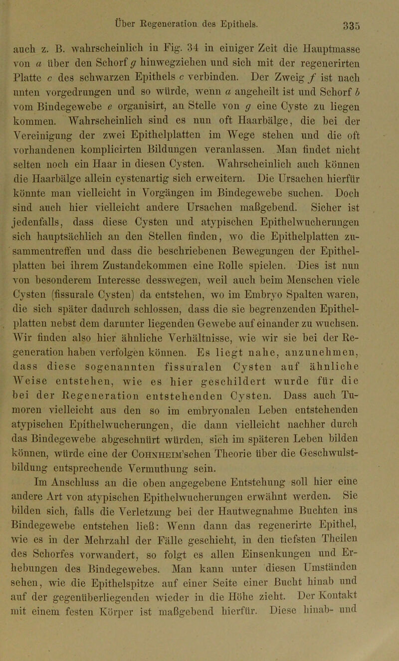 auch z. B. wahrscheinlich iu Fig. 34 in einiger Zeit die Hauptmasse von a über den Schorf g hinwegziehen und sich mit der regenerirten Platte c des schwarzen Epithels c verbinden. Der Zweig / ist nach unten vorgedrungen und so würde, wenn a angeheilt ist und Schorf b vom Bindegewebe e organisirt, an Stelle von g eine Cyste zu liegen kommen. Wahrscheinlich sind es nun oft Haarbälge, die hei der Vereinigung der zwei Epithelplatten im Wege stehen und die oft vorhandenen komplicirten Bildungen veranlassen. Man findet nicht selten noch ein Haar in diesen Cysten. Wahrscheinlich auch können die Haarbälge allein cystenartig sich erweitern. Die Ursachen hierfür könnte man vielleicht in Vorgängen im Bindegewebe suchen. Doch sind auch hier vielleicht andere Ursachen maßgebend. Sicher ist jedenfalls, dass diese Cysten und atypischen Epithelwucherungen sich hauptsächlich an den Stellen finden, wo die Epithelplatten Zu- sammentreffen und dass die beschriebenen Bewegungen der Epithel- platten hei ihrem Zustandekommen eine Rolle spielen. Dies ist nun von besonderem Interesse desswegen, weil auch heim Menschen viele Cysten (fissurale Cysten) da entstehen, wo im Embryo Spalten waren, die sich später dadurch schlossen, dass die sie begrenzenden Epithel- platten nebst dem darunter liegenden Gewebe auf einander zu wuchsen. Wir finden also hier ähnliche Verhältnisse, wie wir sie bei der Re- generation haben verfolgen können. Es liegt nahe, anzunehmen, dass diese sogenannten fissuralen Cysten auf ähnliche AVeise entstehen, wie es hier geschildert wurde für die bei der Regeneration entstehenden Cysten. Dass auch Tu- moren vielleicht aus den so im embryonalen Leben entstehenden atypischen Epithelwucherungen, die dann vielleicht nachher durch das Bindegewebe abgeschnürt würden, sich im späteren Leben bilden können, würde eine der CouxHEiM’schen Theorie über die Geschwulst- bildung entsprechende Arermuthung sein. Im Anschluss an die oben angegebene Entstehung soll hier eine andere Art von atypischen Epithelwucherungeu erwähnt werden. Sie bilden sich, falls die Verletzung bei der Hautwegnahme Buchten ins Bindegewebe entstehen ließ: AVenn dann das regenerirte Epithel, wie es in der Mehrzahl der Fälle geschieht, in den tiefsten Theilen des Schorfes vorwandert, so folgt es allen Einsenkungen und Er- hebungen des Bindegewebes. Man kann unter diesen Umständen sehen, wie die Epithelspitze auf einer Seite einer Bucht hinab und auf der gegenüberliegenden wieder in die Höhe zieht. Der Kontakt mit einem festen Körper ist maßgebend hierfür. Diese hinab- und