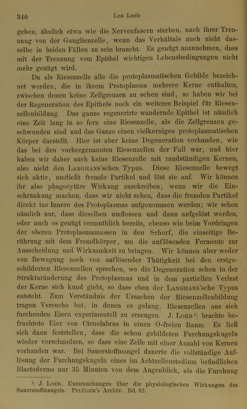 gehen, ähnlich etwa wie die Nervenfasern sterben, nach ihrer Tren- nung von der Ganglienzelle, wenn das Verhältnis auch nicht das- selbe in beiden Fällen zu sein braucht. Es genügt anzunehmen, dass mit der Trennung vom Epithel wichtigen Lebensbedingungen nicht mehr genügt wird. Da als Riesenzelle alle die protoplasmatischen Gebilde bezeich- net werden, die in ihrem Protoplasma mehrere Kerne enthalten, zwischen denen keine Zellgrenzen zu sehen sind, so haben wir bei der Regeneration des Epithels noch ein weiteres Beispiel für Riesen- zelleubildung. Das ganze regenerirte wandernde Epithel ist nämlich eine Zeit lang in so fern eine Riesenzelle, als die Zellgrenzen ge- schwunden sind und das Ganze einen vielkernigen protoplasmatischen Körper darstellt. Hier ist aber keine Degeneration vorhanden, wie das bei den vorhergenannten Riesenzellen der Fall war, und hier haben wir daher auch keine Riesenzelle mit randständigen Kernen, also nicht den LANGHANS’schen Typus. Diese Riesenzelle bewegt sich aktiv, umfließt fremde Partikel und löst sie auf. Wir können ihr also phagocytäre Wirkung zuschreiben, wenn wir die Ein- schränkung machen, dass wir nicht sehen, dass die fremden Partikel direkt ins Innere des Protoplasmas aufgenommen werden; wir sehen nämlich nur, dass dieselben umflossen und dann aufgelöst werden, oder auch es genügt vermuthlich bereits, ebenso wie beim Vordringen der oberen Protoplasmamassen in den Schorf, die einseitige Be- rührung mit dem Fremdkörper, um die auf lösenden Fermente zur Ausscheidung und Wirksamkeit zu bringen. Wir können aber weder von Bewegung noch von auflösender Thätigkeit bei den erstge- schilderten Riesenzellen sprechen, wo die Degeneration schon in der Strukturänderung des Protoplasmas und in dem partiellen Verlust der Kerne sich kund giebt, so dass eben der LANGHANs’sche Typus entsteht. Zum Verständnis der Ursachen der Riesenzellenbildung tragen Versuche bei, in denen es gelang, Riesenzellen aus sich furchenden Eiern experimentell zu erzeugen. J. Loeb l) brachte be- fruchtete Eier von Ctenolabrus in einen O-freien Raum. Es ließ sich dann feststellen, dass die schon gebildeten Furchungskugeln wieder verschmolzen, so dass eine Zelle mit einer Anzahl von Kernen vorhanden war. Bei Sauerstoffmangel dauerte die vollständige Auf- lösung der Furchungskugeln eines im Achtzellenstadium befindlichen Blastoderms nur 35 Minuten von dem Augenblick, als die Furchung ') J. Loeb, Untersuchungen über die physiologischen Wirkungen des Sauerstoffmangels. Pflüger’s Archiv. Bd. 62.