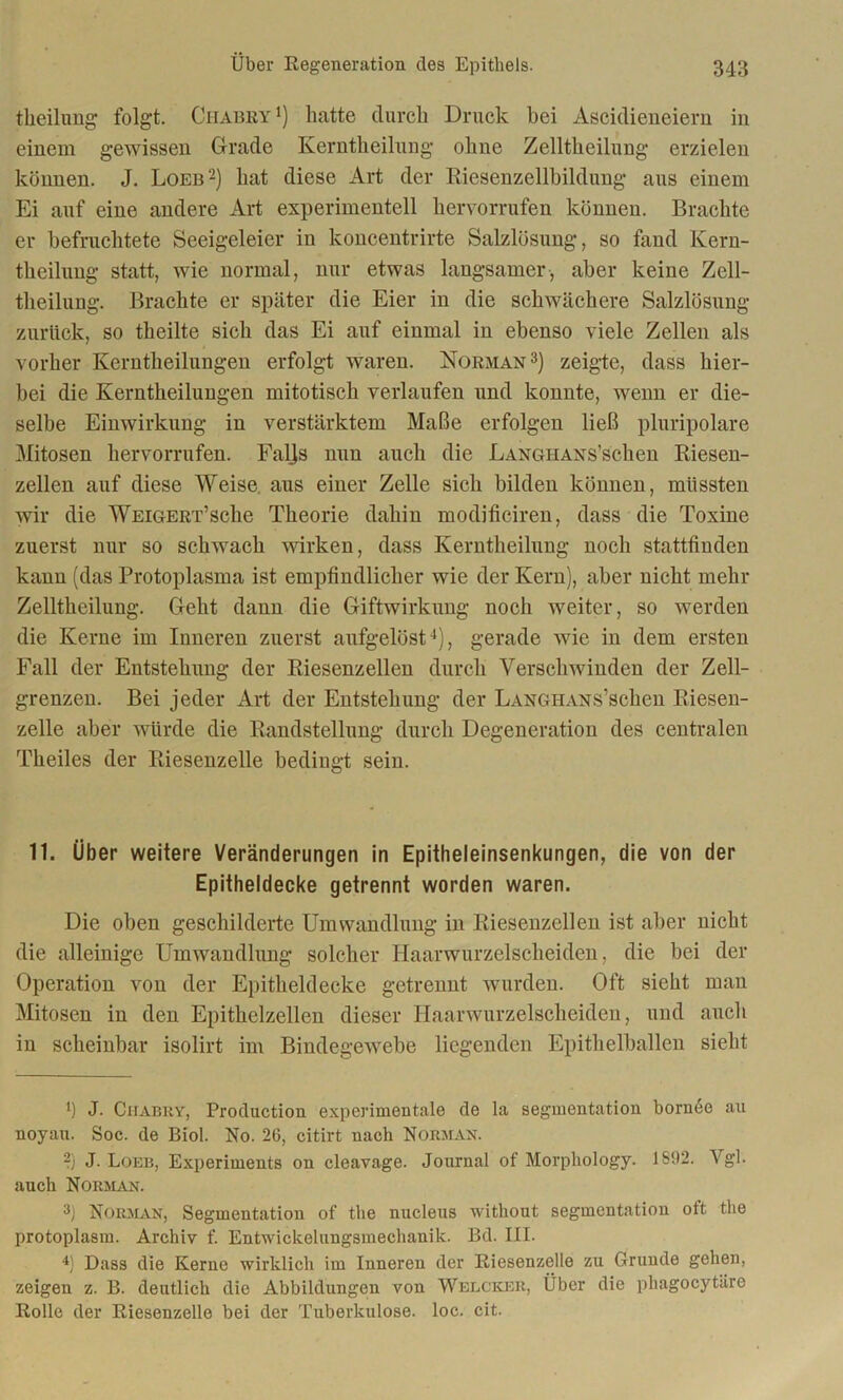 theilung folgt. Ciiabry *) hatte durch Druck bei Ascidieneiern in einem gewissen Grade Kerntheihing ohne Zelltheilung erzielen können. J. Loeb* 2) hat diese Art der Riesenzellbildung aus einem Ei auf eine andere Art experimentell hervorrufen können. Brachte er befruchtete Seeigeleier in koncentrirte Salzlösung, so fand Kern- theilung statt, wie normal, nur etwas langsamer, aber keine Zell- theilung. Brachte er später die Eier in die schwächere Salzlösung zurück, so theilte sich das Ei auf einmal in ebenso viele Zellen als vorher Kerntlieilungen erfolgt waren. Norman3) zeigte, dass hier- bei die Kerntlieilungen mitotisch verlaufen und konnte, wenn er die- selbe Einwirkung in verstärktem Maße erfolgen ließ pluripolare Mitosen hervorrufen. Faljs nun auch die LANGiiANS’schen Riesen- zellen auf diese Weise, aus einer Zelle sich bilden können, müssten wir die Weigert’sehe Theorie dahin modjfieiren, dass die Toxine zuerst nur so schwach wirken, dass Kerntheilung noch stattfinden kann (das Protoplasma ist empfindlicher wie der Kern), aber nicht mehr Zelltheilung. Geht dann die Giftwirkung noch weiter, so werden die Kerne im Inneren zuerst aufgelöst4), gerade wie in dem ersten Fall der Entstehung der Riesenzellen durch Verschwinden der Zell- grenzen. Bei jeder Art der Entstehung der LANGHANS’schen Riesen- zelle aber würde die Randstellung durch Degeneration des centralen Theiles der Riesenzelle bedingt sein. 11. Über weitere Veränderungen in Epitheleinsenkungen, die von der Epitheldecke getrennt worden waren. Die oben geschilderte Umwandlung in Riesenzellen ist aber nicht die alleinige Umwandlung solcher Haarwurzelscheiden, die bei der Operation von der Epitheldecke getrennt wurden. Oft sieht man Mitosen in den Epithelzellen dieser Haarwurzelscheiden, und auch in scheinbar isolirt im Bindegewebe liegenden Epithelballen sieht *) J. Chabry, Production experimentale de la Segmentation bornee au noyau. Soc. de Biol. No. 26, citirt nach Norman. ?) J- Loeb, Experiments on cleavage. Journal of Morphology. 1892. Vgl. auch Norman. 3) Norman, Segmentation of the nucleus without segmentation oft the protoplasm. Archiv f. Entwickelungsmechanik. Bd. III. 4) Dass die Kerne wirklich im Inneren der Riesenzelle zu Grunde gehen, zeigen z. B. deutlich die Abbildungen von Welcker, Über die phagocytäre Rolle der Riesenzelle bei der Tuberkulose, loc. cit.