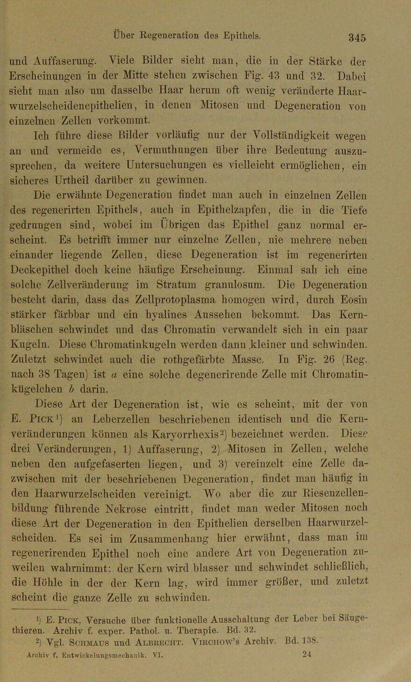 und Auffaserung. Viele Bilder sieht man, die in der Stärke der Erscheinungen in der Mitte stehen zwischen Fig. 43 und 32. Dabei sieht mau also um dasselbe Haar herum oft wenig veränderte Haar- wurzelscheidenepithelien, in denen Mitosen und Degeneration von einzelnen Zellen vorkommt. Ich führe diese Bilder vorläufig nur der Vollständigkeit wegen an und vermeide es, Vermuthungen über ihre Bedeutung auszu- sprechen, da weitere Untersuchungen es vielleicht ermöglichen, ein sicheres Urtheil darüber zu gewinnen. Die erwähnte Degeneration findet man auch in einzelnen Zellen des regenerirten Epithels, auch in Epithelzapfen, die in die Tiefe gedrungen sind, wobei im Übrigen das Epithel ganz normal er- scheint. Es betrifft immer nur einzelne Zellen, nie mehrere neben einander liegende Zellen, diese Degeneration ist im regenerirten Deckepithel doch keine häufige Erscheinung. Einmal sah ich eine solche Zellveränderung im Stratum granulosum. Die Degeneration besteht darin, dass das Zellprotoplasma homogen wird, durch Eosin stärker färbbar und ein hyalines Aussehen bekommt. Das Kern- bläschen schwindet und das Chromatin verwandelt sich in ein paar Kugeln. Diese Chromatinkugeln werden dann kleiner und schwinden. Zuletzt schwindet auch die rothgefärbte Masse. In Fig. 26 (Reg. nach 38 Tagen) ist a eine solche degenerirende Zelle mit Chromatin- kügelchen b darin. Diese Art der Degeneration ist, wie es scheint, mit der von E. Pick') an Leberzellen beschriebenen identisch und die Kern- veränderungen können als Karyorrhexis1 2) bezeichnet werden. Diese drei Veränderungen, 1) Auffaserung, 2) Mitosen in Zellen, welche neben den aufgefaserten liegen, und 3) vereinzelt eine Zelle da- zwischen mit der beschriebenen Degeneration, findet man häufig in den Haarwurzelscheiden vereinigt. Wo aber die zur Riesenzellen- bildung führende Nekrose eintritt, findet man weder Mitosen noch diese Art der Degeneration in den Epithelien derselben Haarwurzel- scheiden. Es sei im Zusammenhang hier erwähnt, dass man im regenerirenden Epithel noch eine andere Art von Degeneration zu- weilen wahrnimmt: der Kern wird blasser und schwindet schließlich, die Höhle in der der Kern lag, wird immer größer, und zuletzt scheint die ganze Zelle zu schwinden. 1) E. Pick, Versuche über funktionelle Ausschaltung der Leber bei Säuge- thieren. Archiv f. exper. Patliol. u. Therapie. Bd. 32. 2) Vgl. Schmaus und Albrecht. Virciiow’s Archiv. Bd. 138. Archiv f. Entwickelungsmechanik. VI. 24