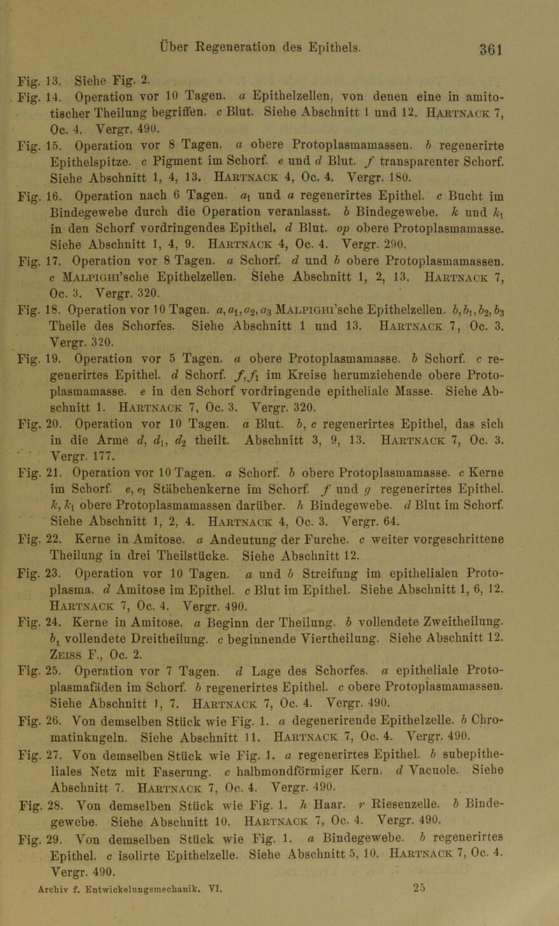 Fig. 13. Siehe Fig. 2. Fig. 14. Operation vor 10 Tagen, a Epithelzellen, von denen eine in amito- tischer Theilung begriffen, c Blut. Siehe Abschnitt 1 und 12. Hartnack 7, Oc. 4. Vergr. 490. Fig. 15. Operation vor 8 Tagen, a obere Protoplasmamassen, b regenerirte Epithelspitze, c Pigment im Schorf, e und d Blut. / transparenter Schorf. Siehe Abschnitt 1, 4, 13. Hartnack 4, Oc. 4. Vergr. 180. Fig. 16. Operation nach 6 Tagen, a, und a regenerirtes Epithel, c Bucht im Bindegewebe durch die Operation veranlasst, b Bindegewebe, k und in den Schorf vordringendes Epithel, d Blut, op obere Protoplasmamasse. Siehe Abschnitt 1, 4, 9. Hartnack 4, Oc. 4. Vergr. 290. Fig. 17. Operation vor 8 Tagen, a Schorf, d und b obere Protoplasmamassen. c MALPiGHi’sche Epithelzellen. Siehe Abschnitt 1, 2, 13. Hartnack 7, Oc. 3. Vergr. 320. Fig. 18. Operation vor 10 Tagen, a,oi,»2,«3 MALPiGHi’sche Epithelzellen. b,bi,b2,b3 Theile des Schorfes. Siehe Abschnitt 1 und 13. Hartnack 7, Oc. 3. Vergr. 320. Fig. 19. Operation vor 5 Tagen, a obere Protoplasmamasse, b Schorf, c re- generirtes Epithel, d Schorf. f,f\ im Kreise herumziehende obere Proto- plasmamasse. e in den Schorf vordringende epitheliale Masse. Siehe Ab- schnitt 1. Hartnack 7, Oc. 3. Vergr. 320. Fig. 20. Operation vor 10 Tagen, a Blut, b, c regenerirtes Epithel, das sich in die Arme d, du d-2 theilt. Abschnitt 3, 9, 13. Hartnack 7, Oc. 3. Vergr. 177. Fig. 21. Operation vor 10 Tagen, a Schorf, b obere Protoplasmamasse, c Kerne im Schorf, e, e, Stäbchenkerne im Schorf, f und g regenerirtes Epithel. k, ki obere Protoplasmamassen darüber, h Bindegewebe, d Blut im Schorf. Siehe Abschnitt 1, 2, 4. Hartnack 4, Oc. 3. Vergr. 64. Fig. 22. Kerne in Amitose. a Andeutung der Furche, c weiter vorgeschrittene Theilung in drei Theilstücke. Siehe Abschnitt 12. Fig. 23. Operation vor 10 Tagen, a und b Streifung im epithelialen Proto- plasma. d Amitose im Epithel, c Blut im Epithel. Siehe Abschnitt 1,6, 12. Hartnack 7, Oc. 4. Vergr. 490. Fig. 24. Kerne in Amitose. a Beginn der Theilung. b vollendete Zweitheilung. bl vollendete Dreitheilung. c beginnende Viertheilung. Siehe Abschnitt 12. Zeiss F., Oc. 2. Fig. 25. Operation vor 7 Tagen, d Lage des Schorfes, a epitheliale Proto- plasmafäden im Schorf, b regenerirtes Epithel, c obere Protoplasmamasseu. Siehe Abschnitt 1, 7. Hartnack 7, Oc. 4. Vergr. 490. Fig. 26. Von demselben Stück wie Fig. 1. a degenerirende Epithelzelle, b Chro- matinkugeln. Siehe Abschnitt 11. Hartnack 7, Oc. 4. Vergr. 490. Fig. 27. Von demselben Stück wie Fig. 1. a regenerirtes Epithel, b subepithe- liales Netz mit Faserung, c halbmondförmiger Kern, d Vacuole. Siehe Abschnitt 7. Hartnack 7, Oc. 4. Vergr. 490. Fig. 28. Von demselben Stück wie Fig. 1. h Haar, r Riesenzelle, b Binde- gewebe. Siehe Abschnitt 10. Hartnack 7, Oc. 4. Vergr. 490. Fig. 29. Von demselben Stück wie Fig. 1. a Bindegewebe, b regenerirtes Epithel, c isolirte Epithelzelle. Siehe Abschnitt 5, 10. Hartnack 7, Oc. 4. Vergr. 490. Archiv f. Entwickelungsmechanik. VI. 25